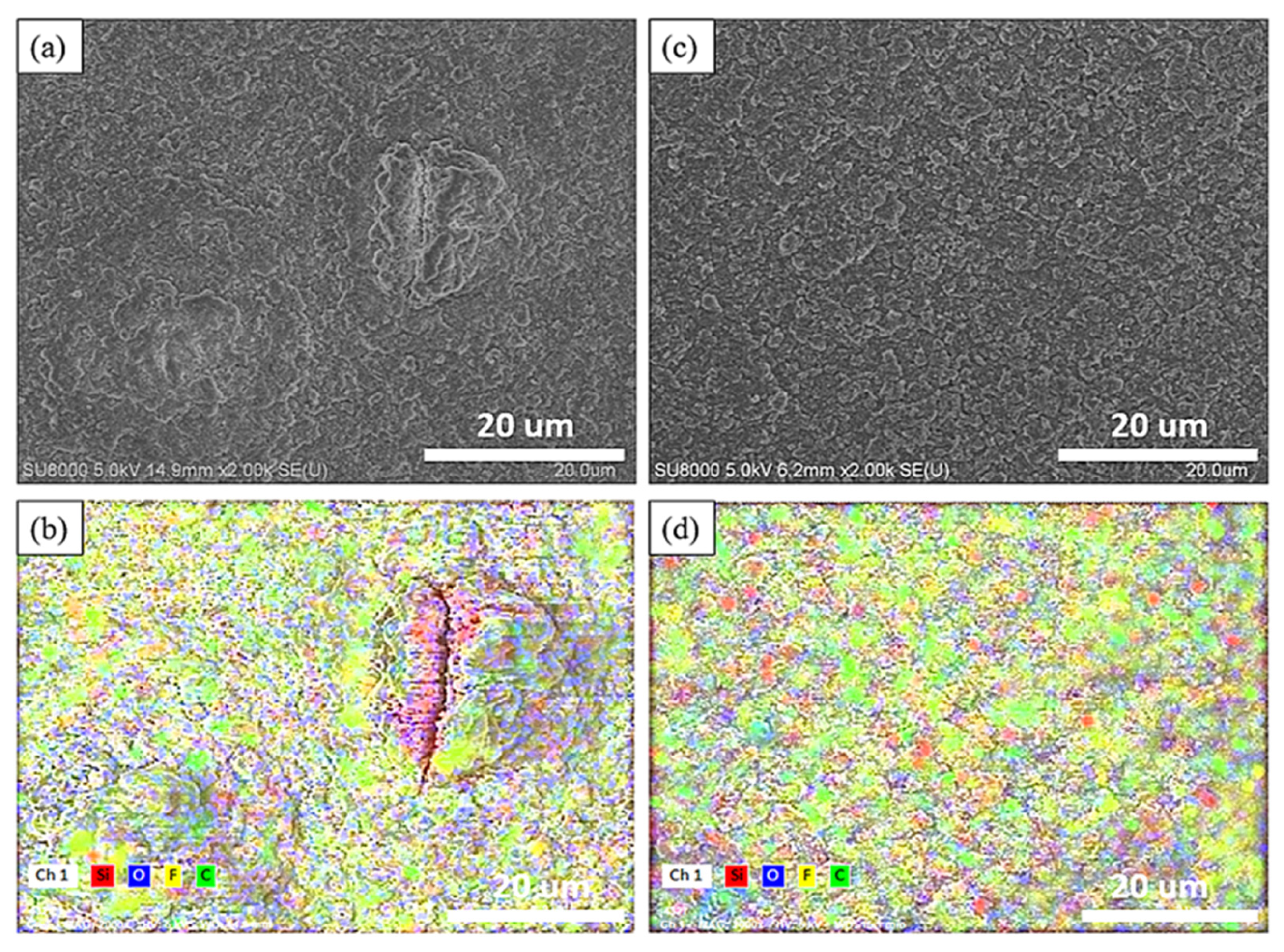 Nanomaterials 14 00043 g006