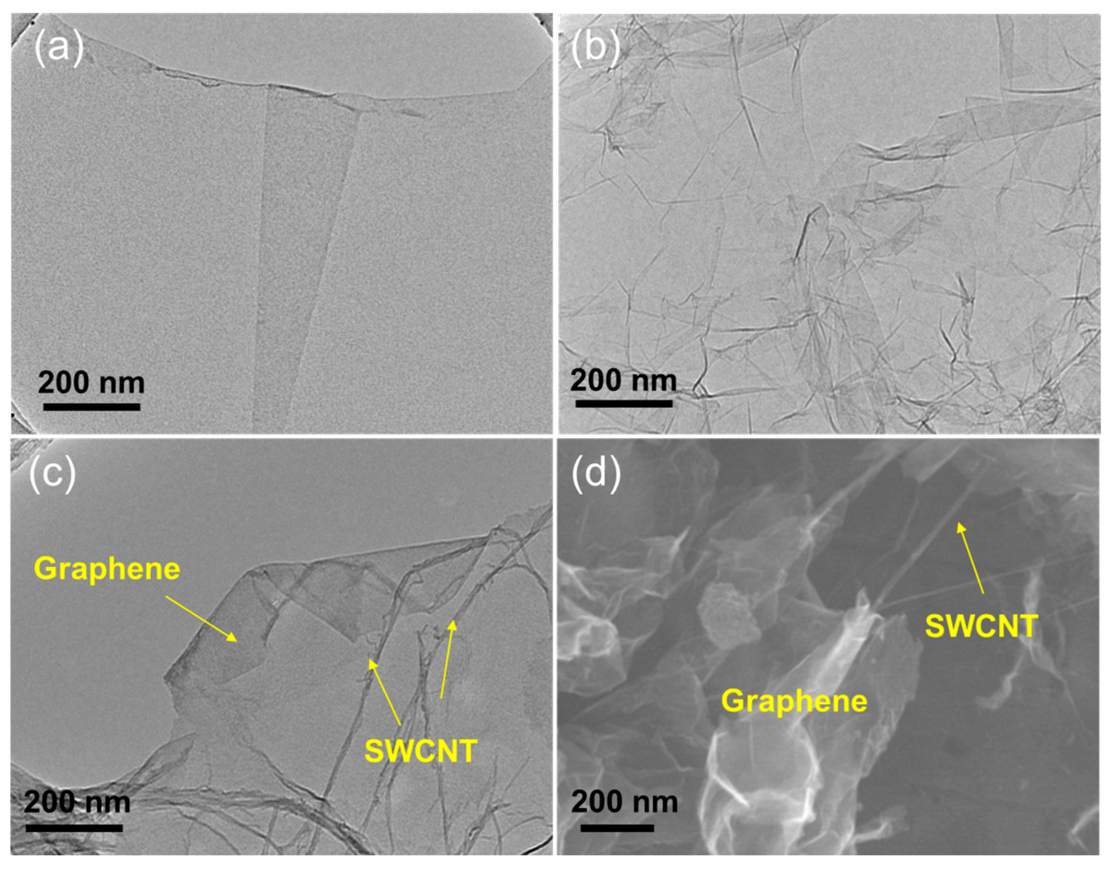 Nanomaterials 14 00045 g001