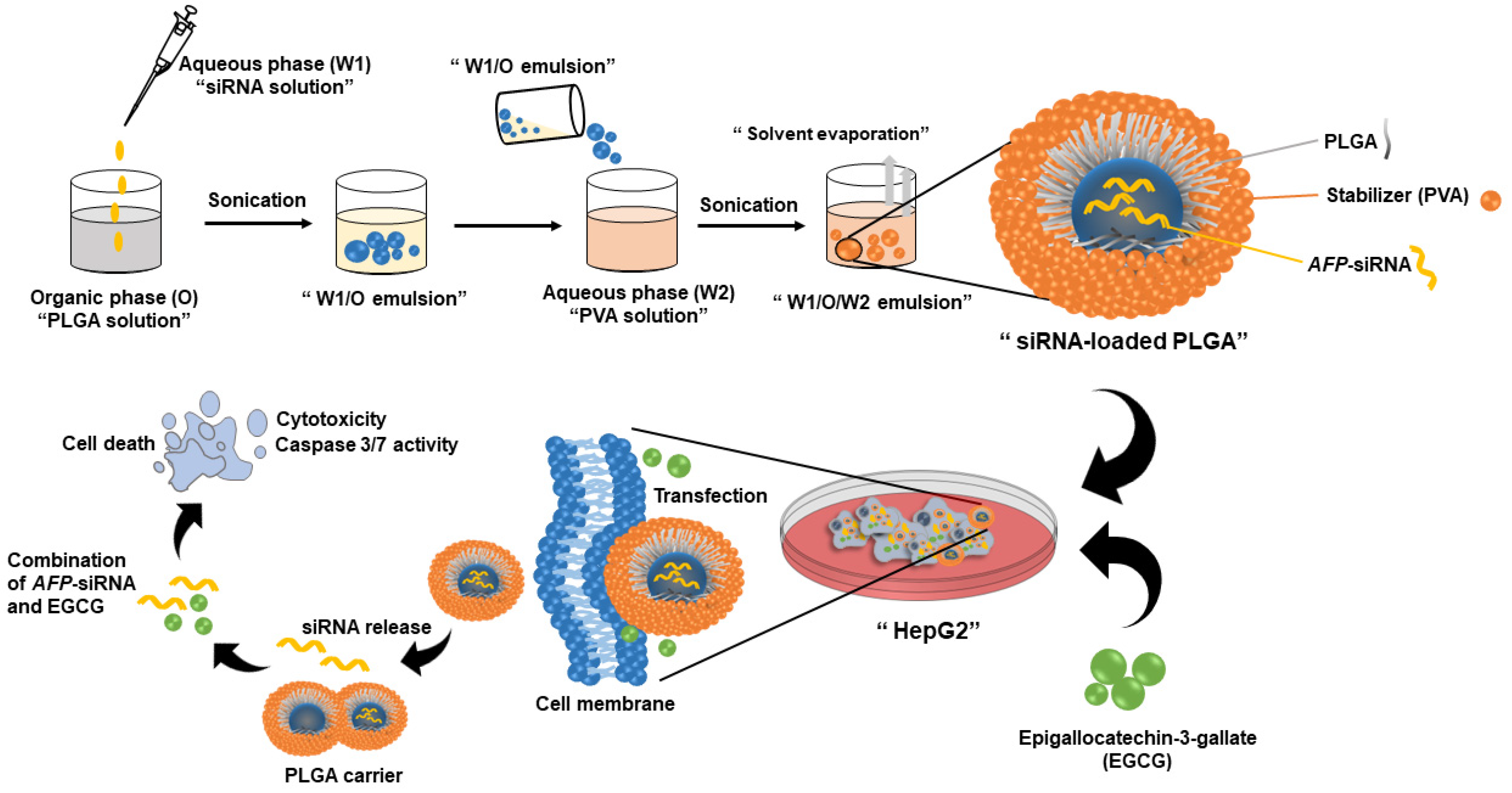 Nanomaterials 14 00047 sch001