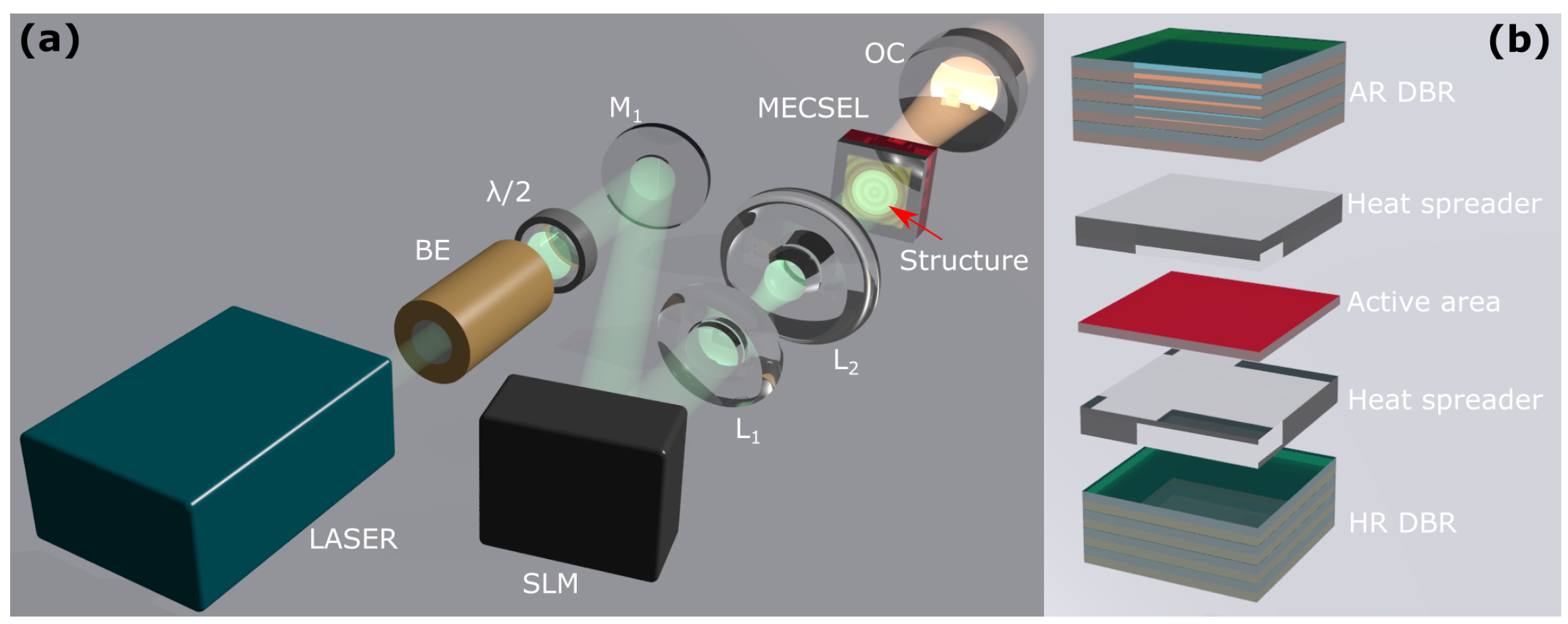Nanomaterials 14 00049 g001