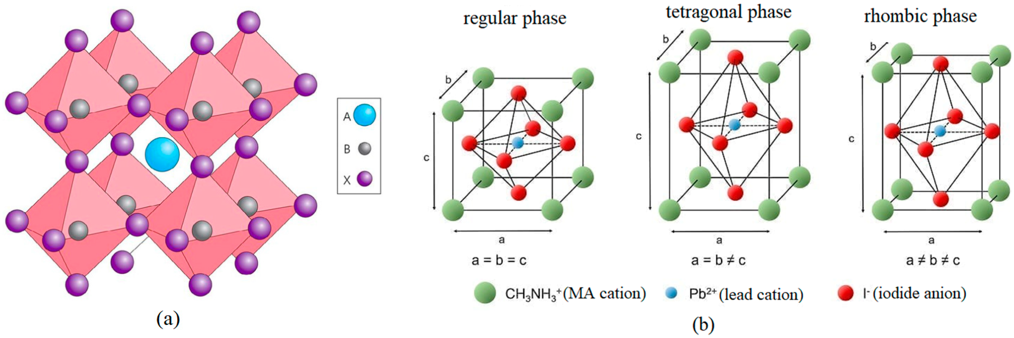 Nanomaterials 14 00050 g001