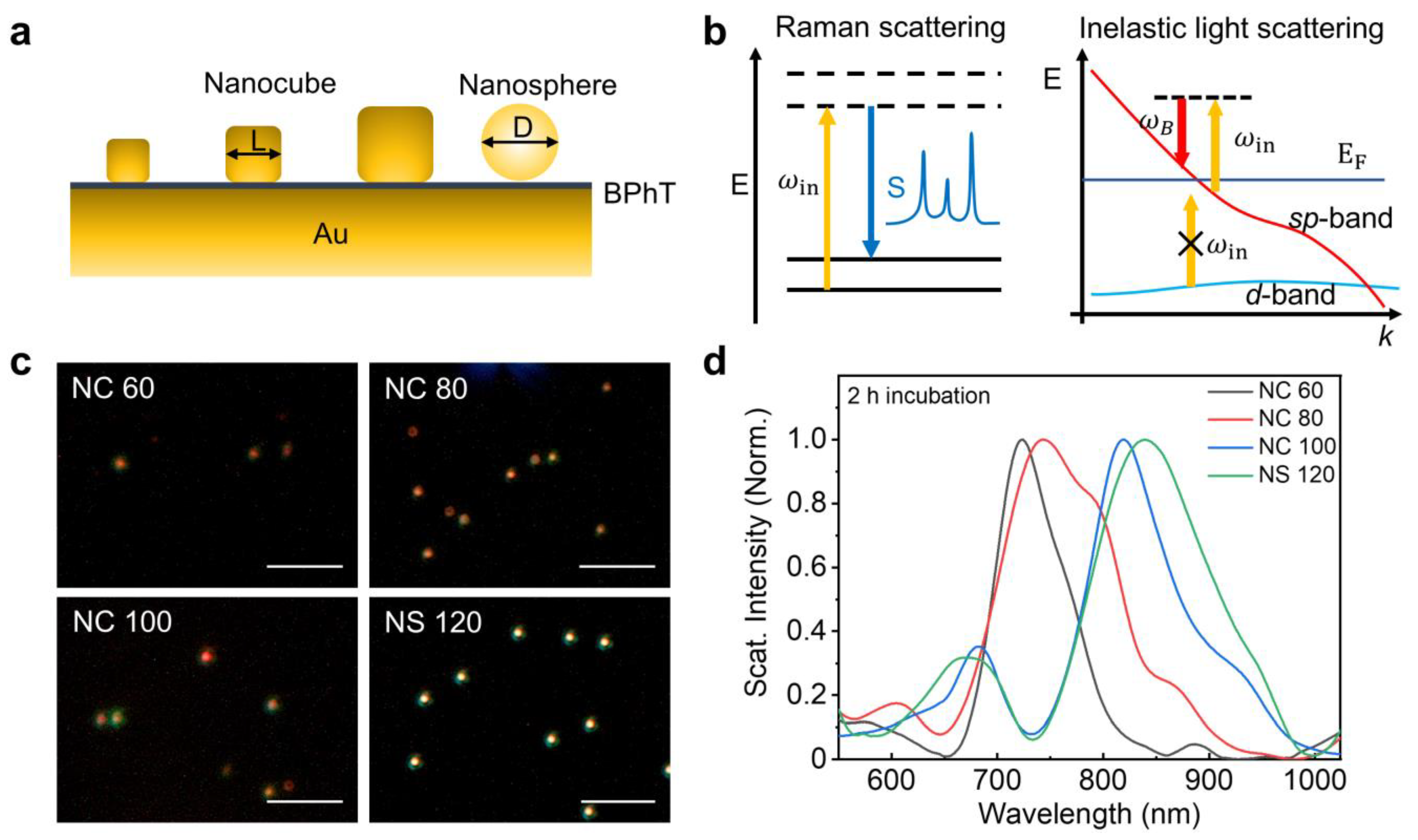 Nanomaterials 14 00053 g001 Nanomaterials 14 00053 g001