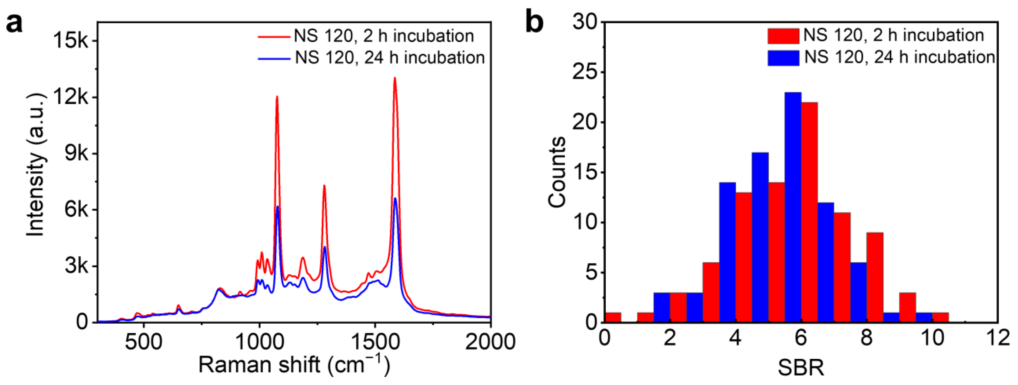 Nanomaterials 14 00053 g003 Nanomaterials 14 00053 g003