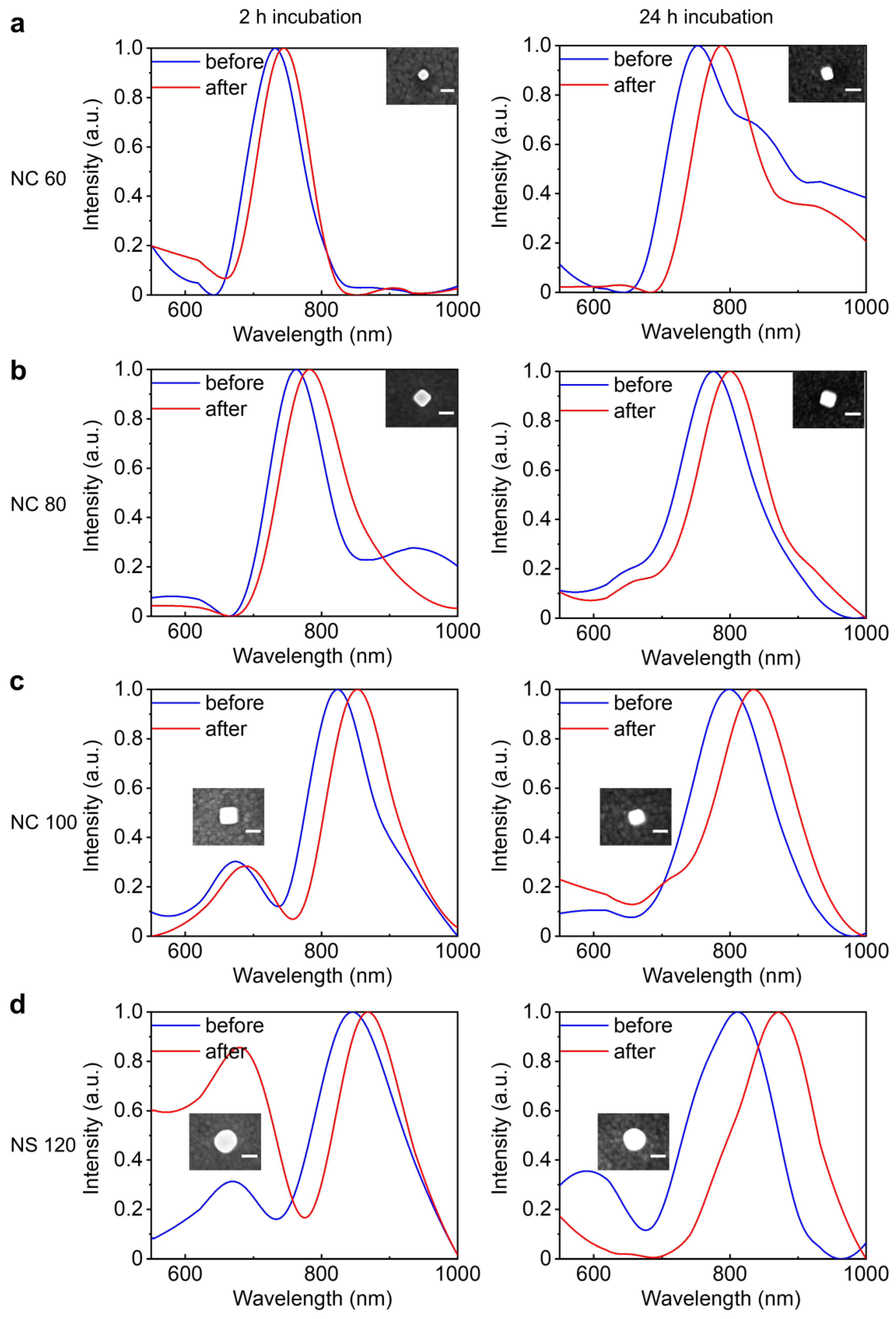 Nanomaterials 14 00053 g005 Nanomaterials 14 00053 g005