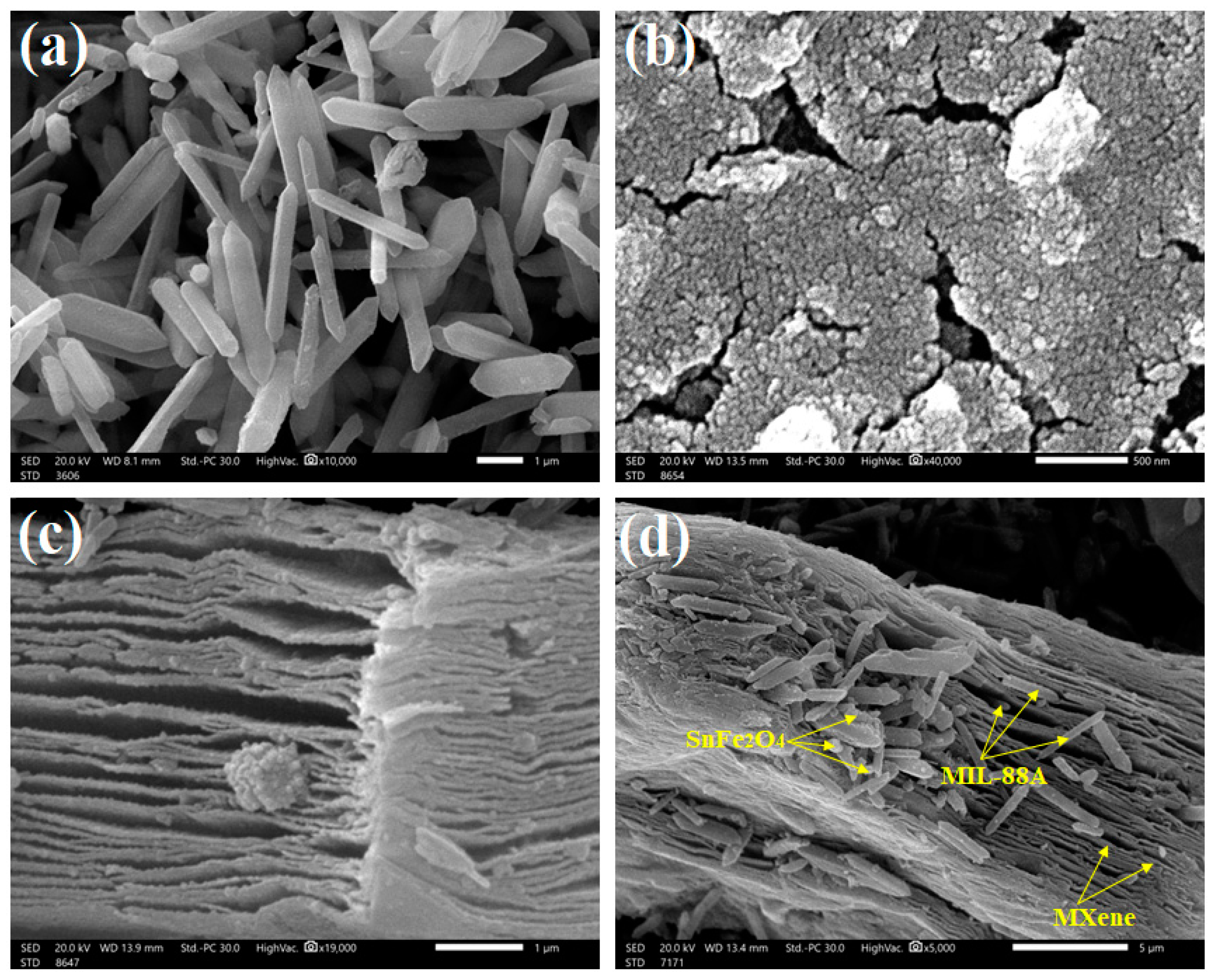 Nanomaterials 14 00054 g002