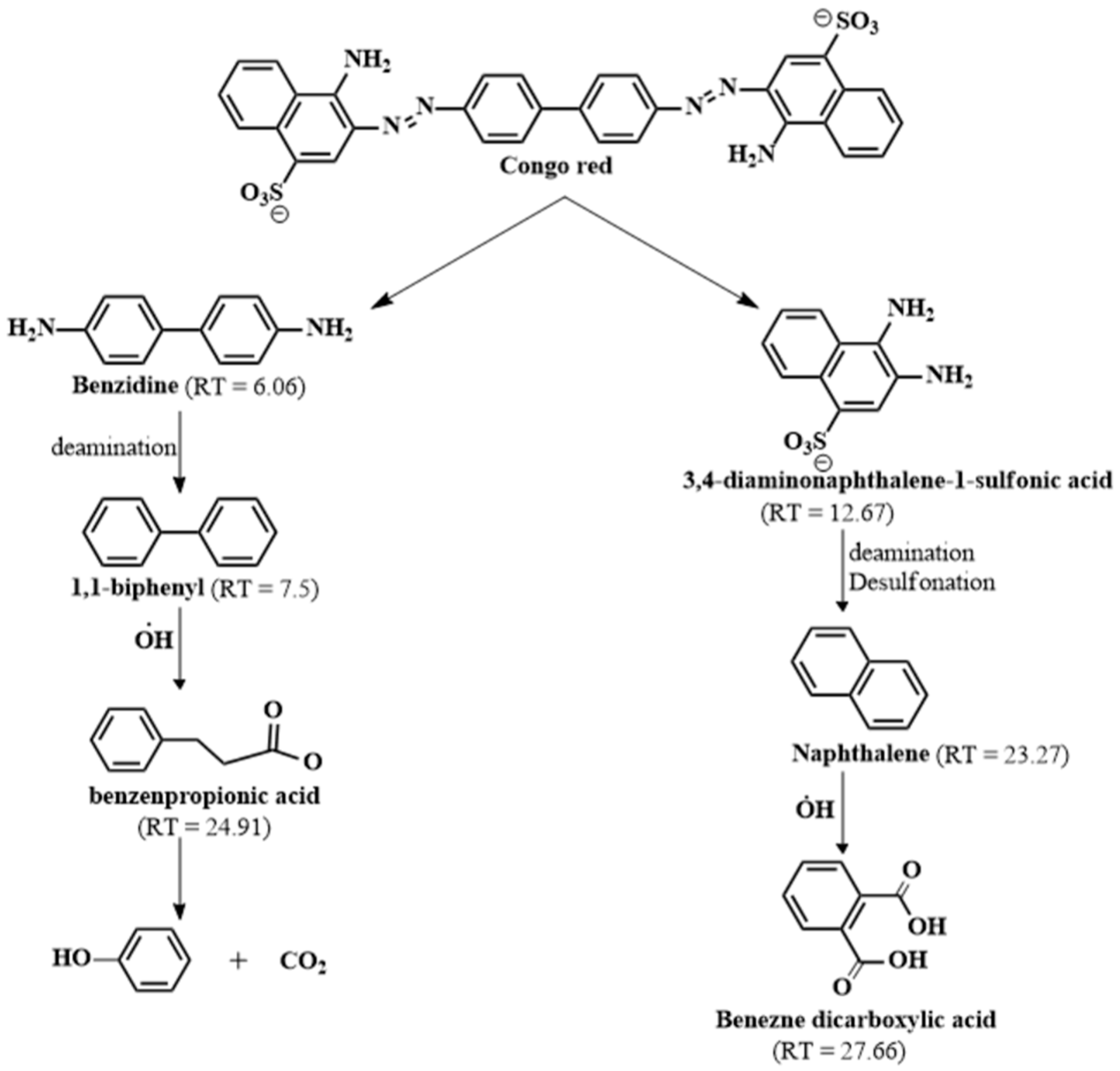 Nanomaterials 14 00054 g009