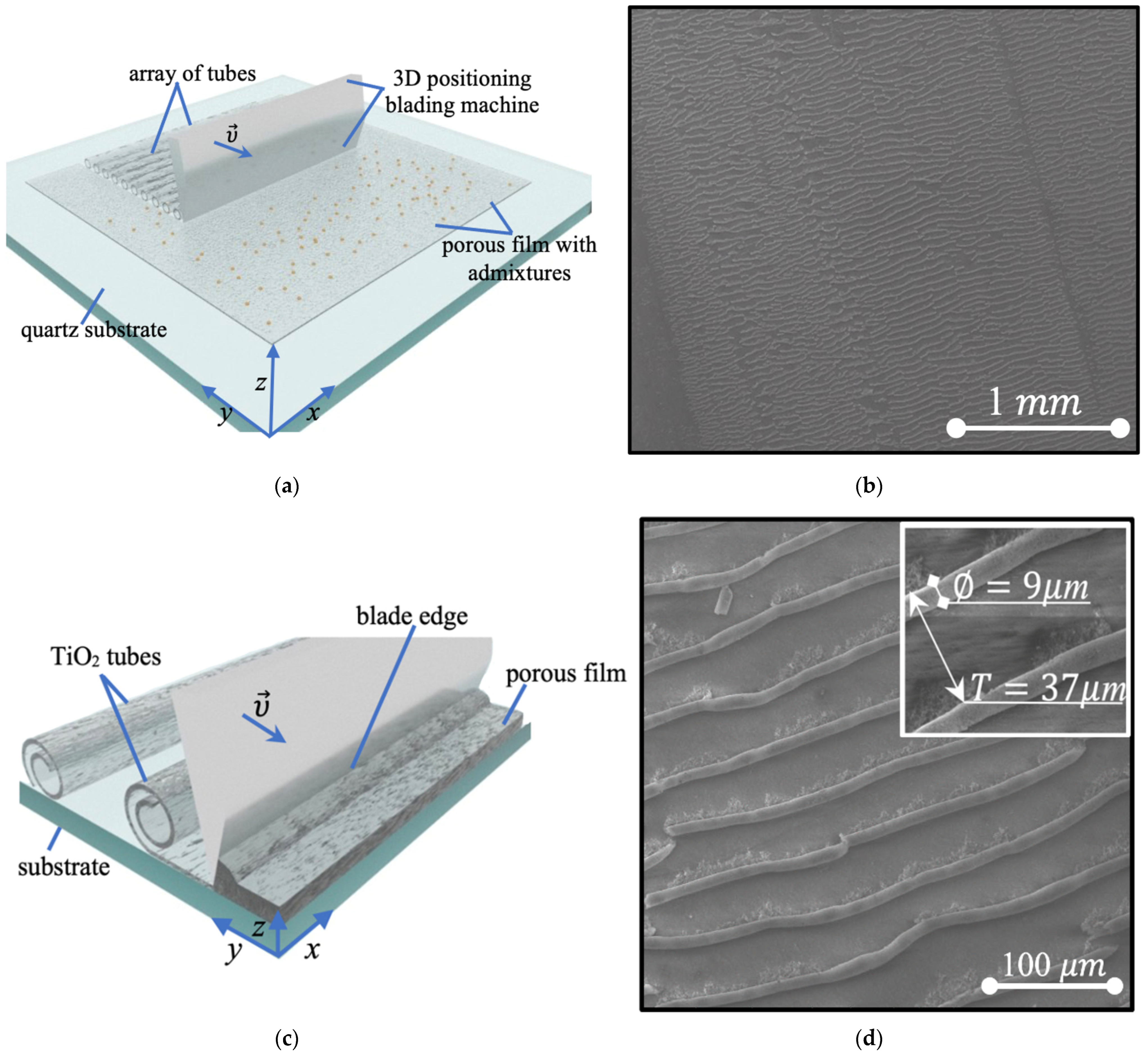 Nanomaterials 14 00056 g001
