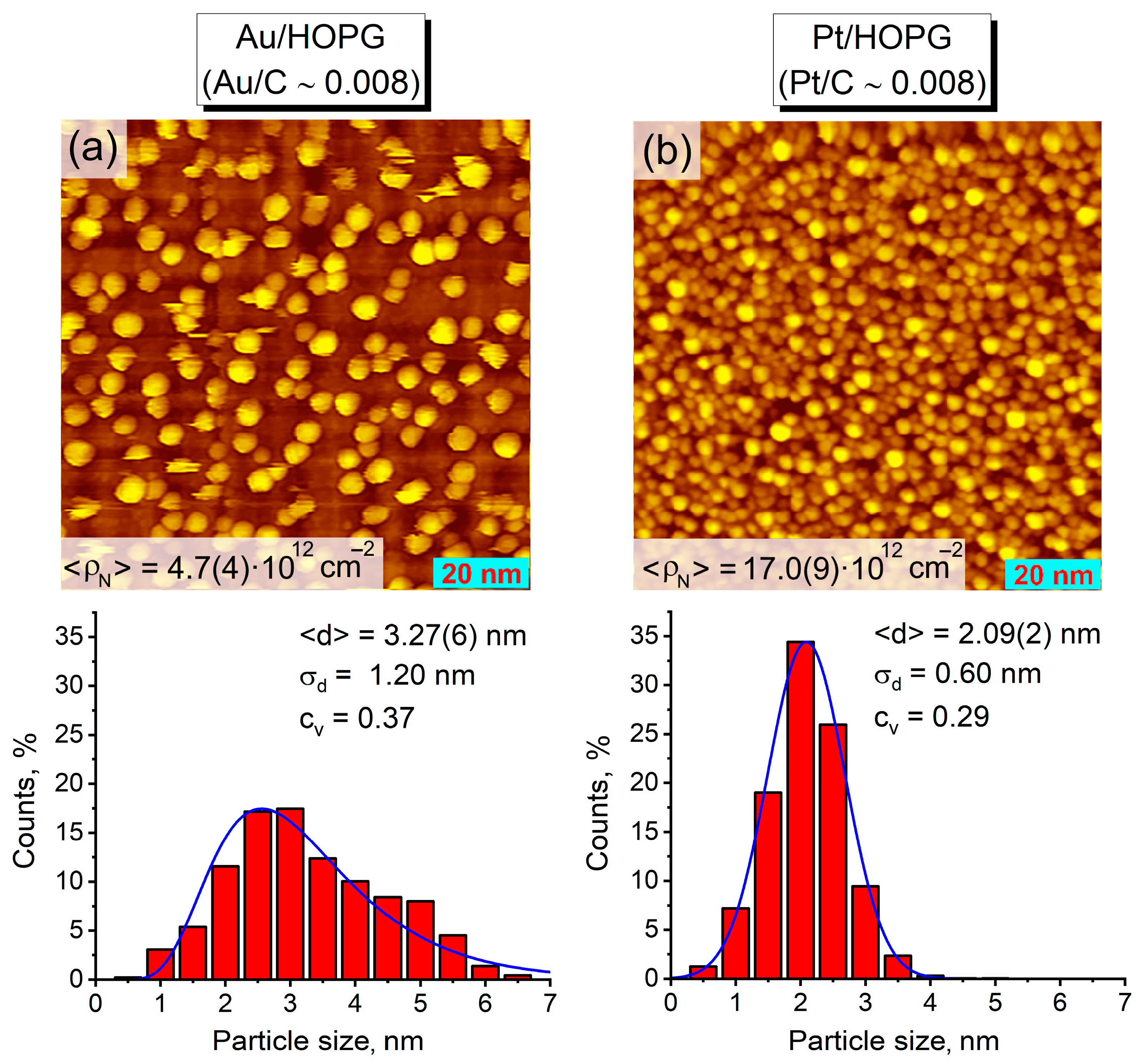 Nanomaterials 14 00057 g001