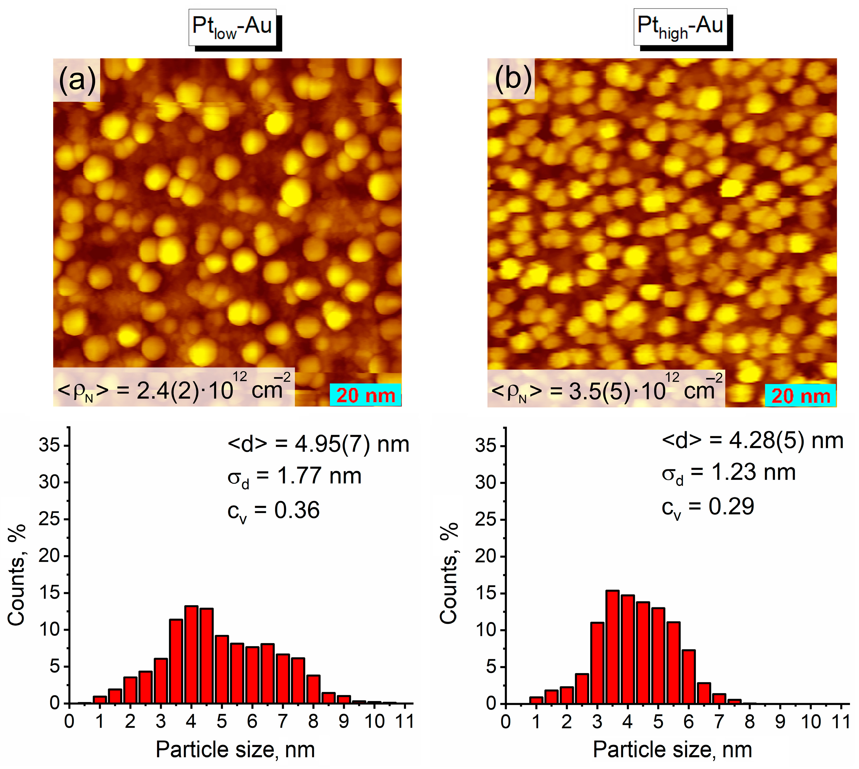 Nanomaterials 14 00057 g009