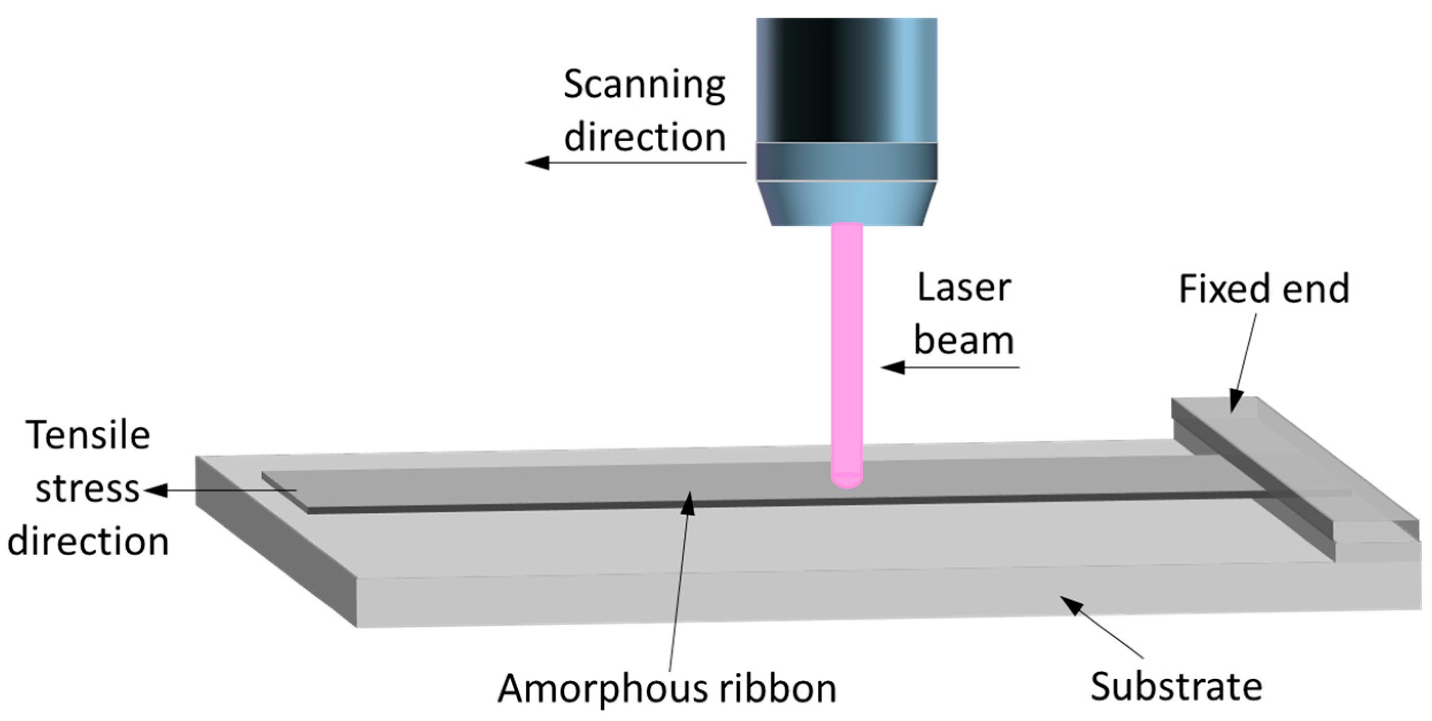 Nanomaterials 14 00058 g001