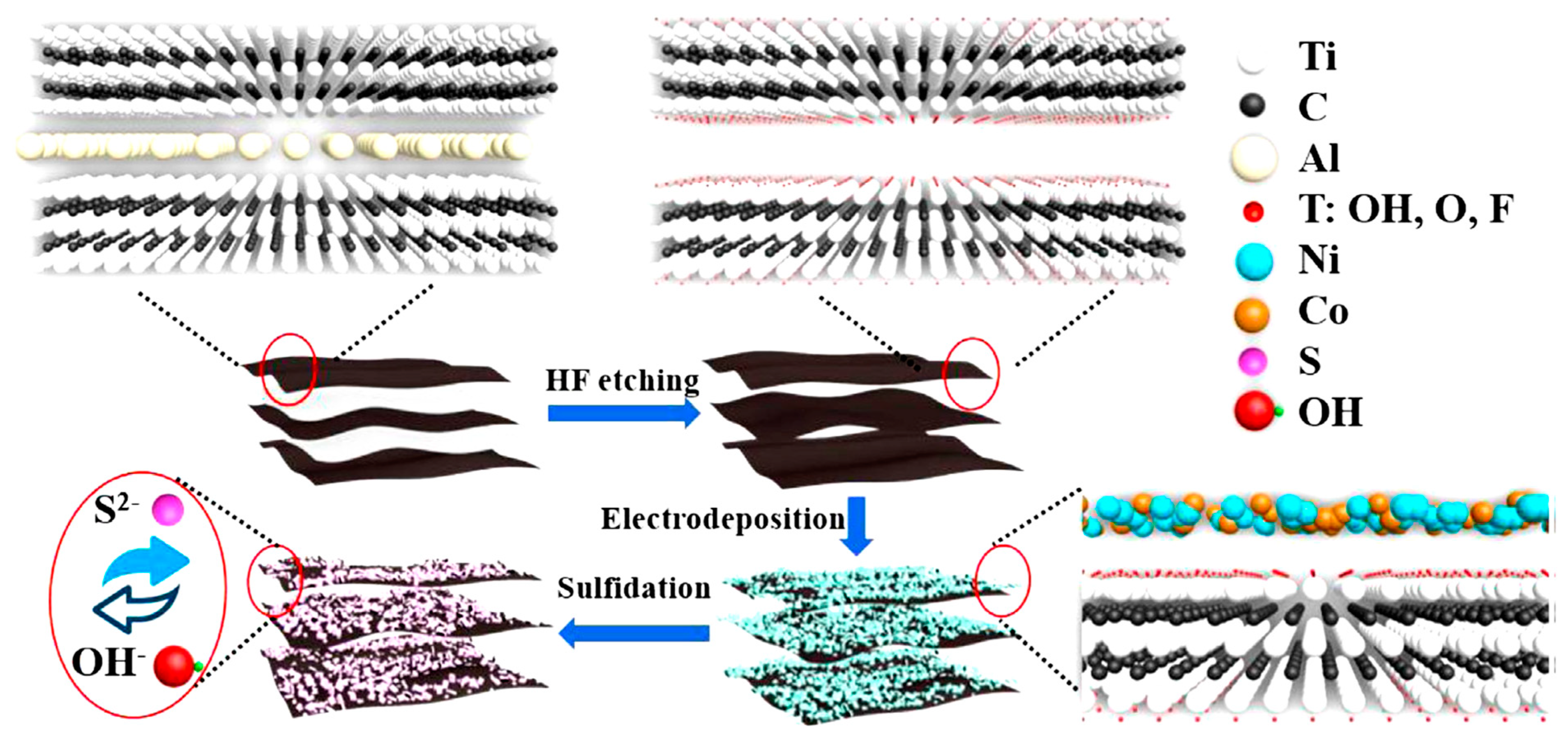 Nanomaterials 14 00062 g008
