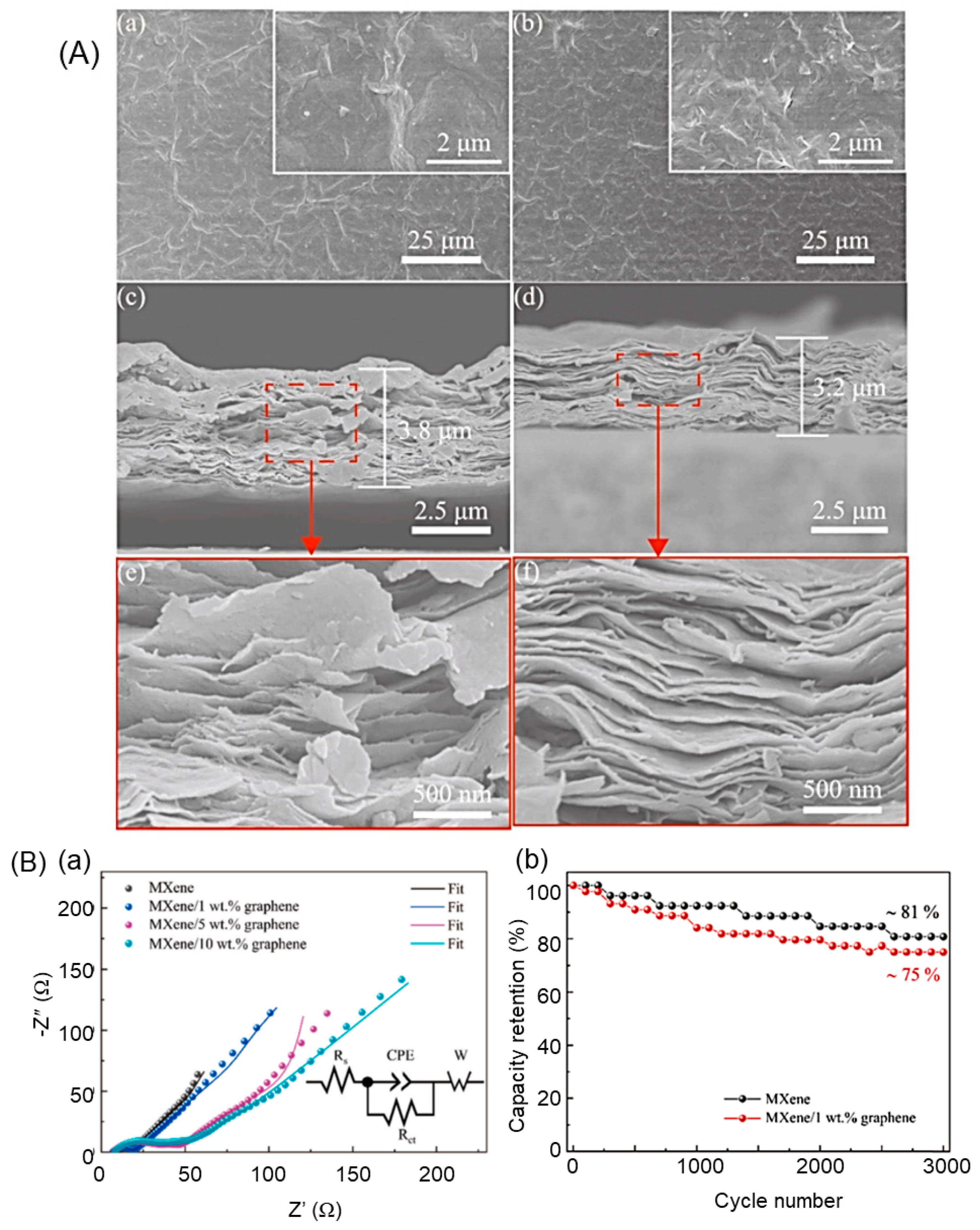 Nanomaterials 14 00062 g011