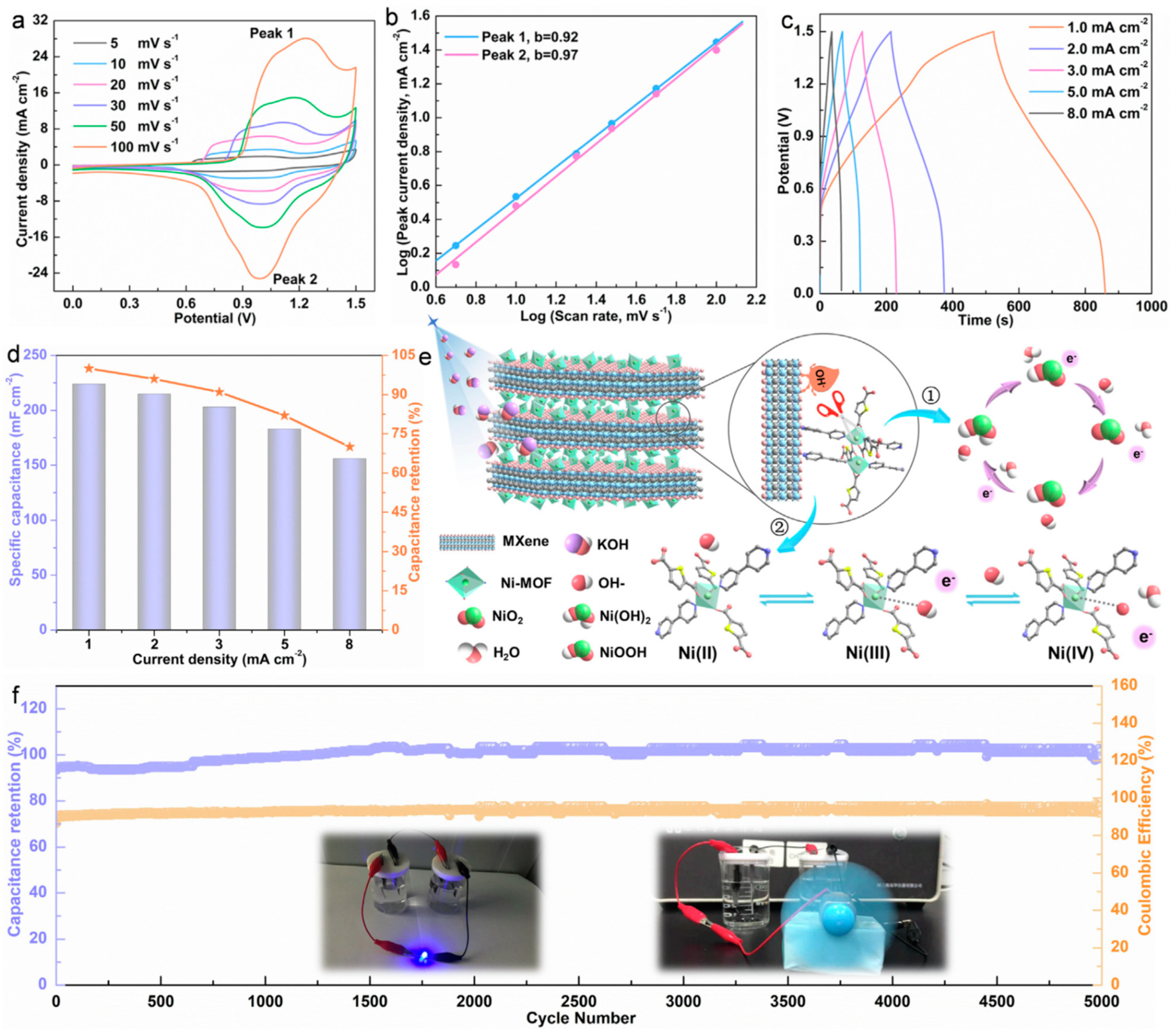 Nanomaterials 14 00062 g019