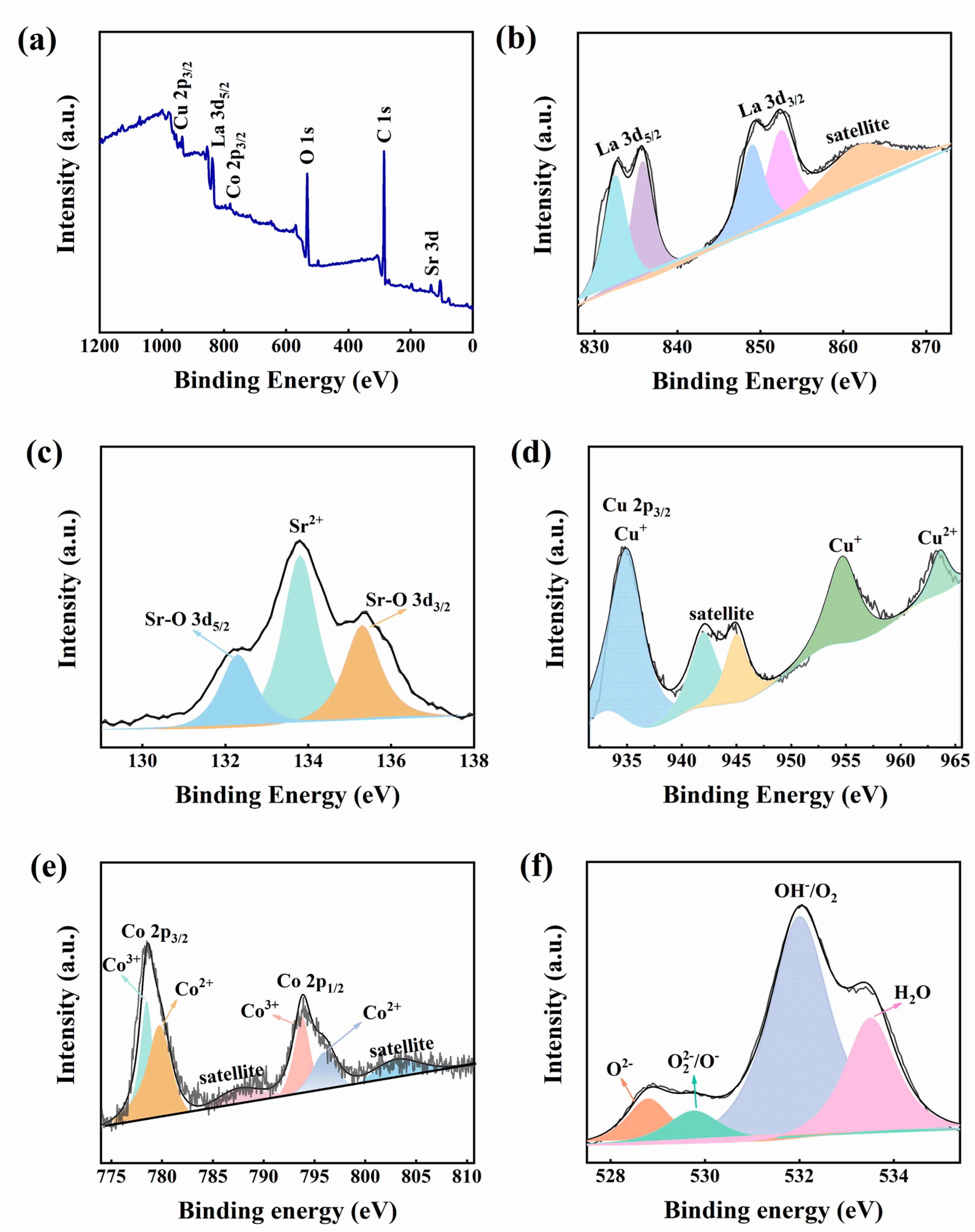Nanomaterials 14 00064 g004