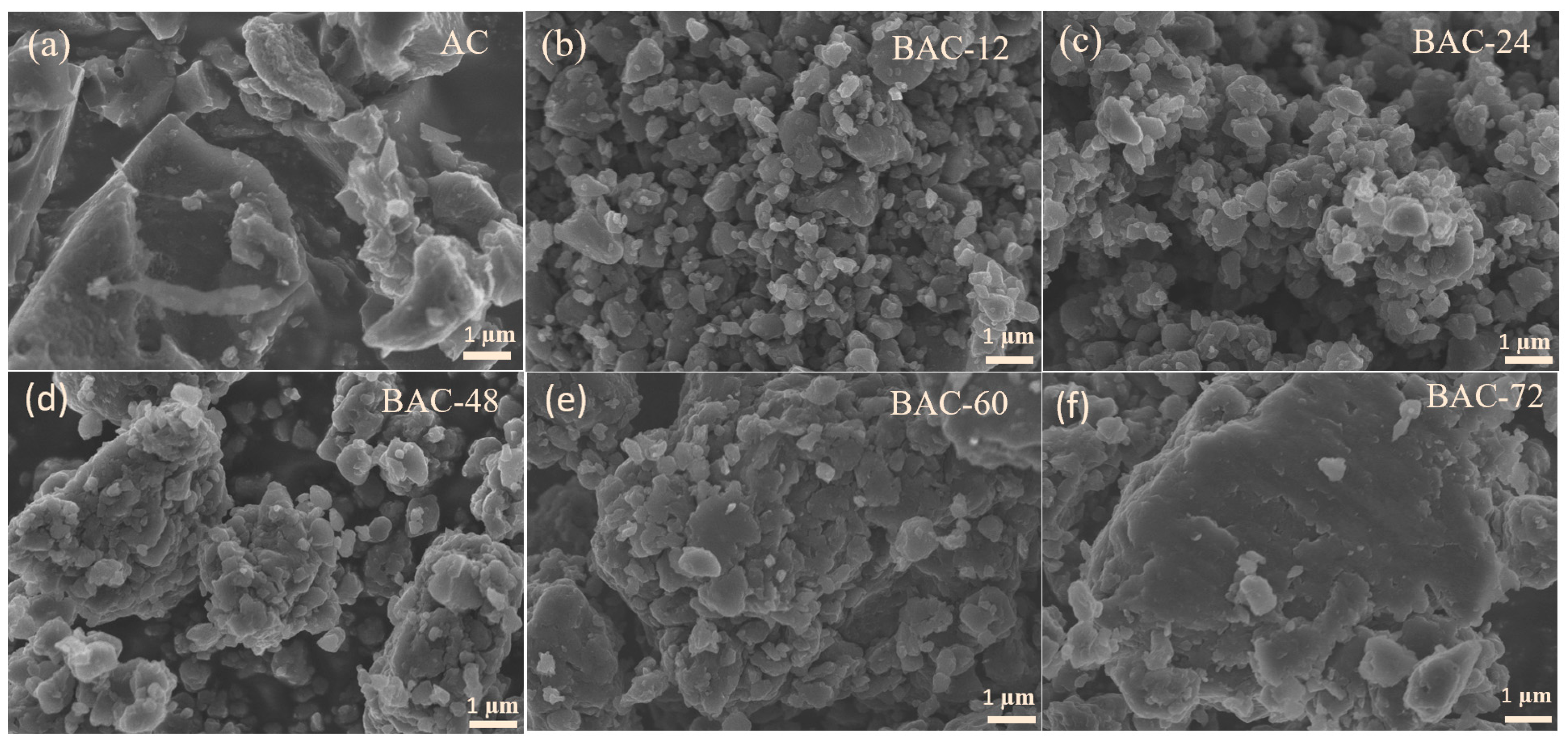Nanomaterials 14 00065 g001