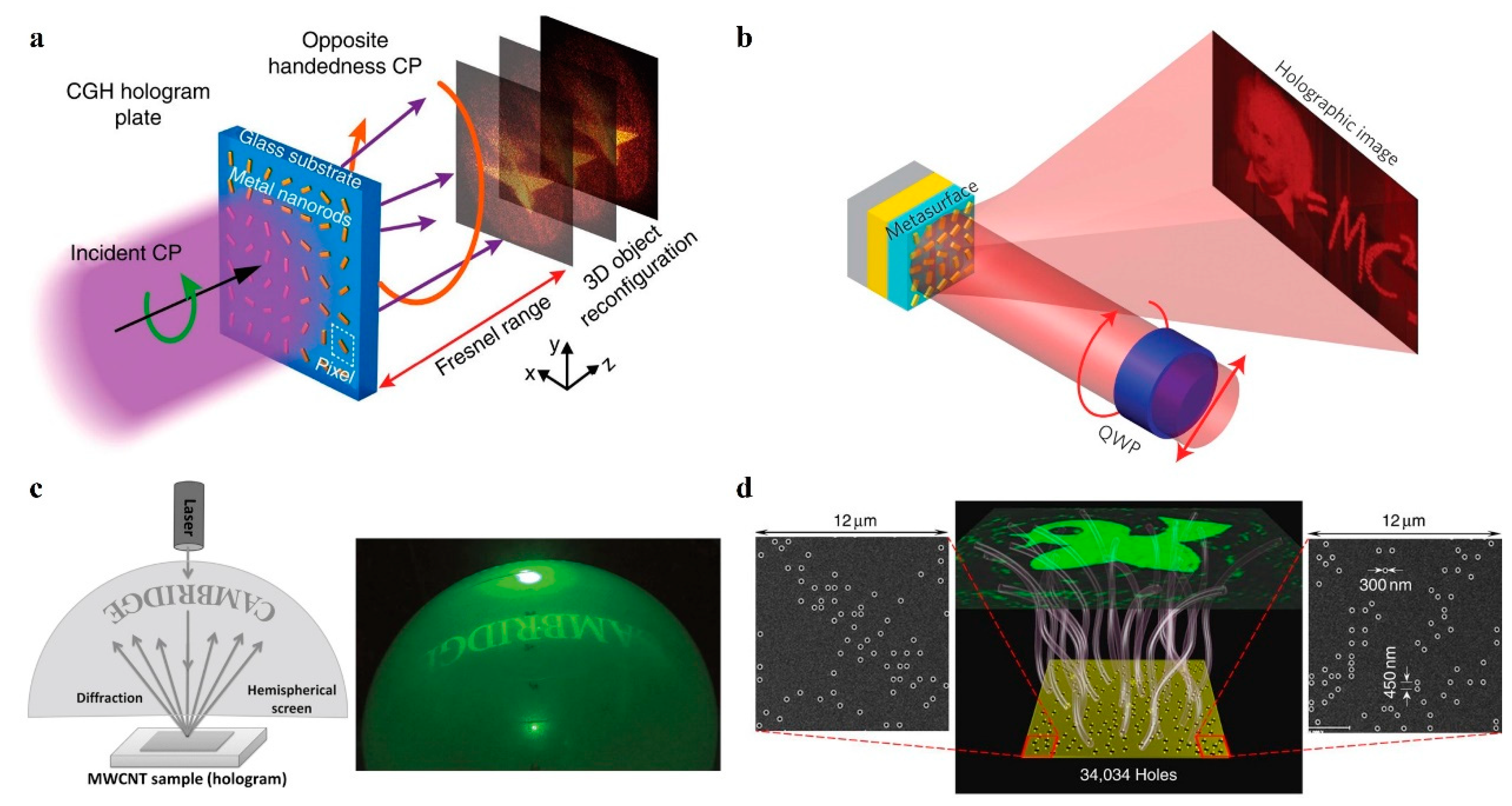 Nanomaterials 14 00066 g002