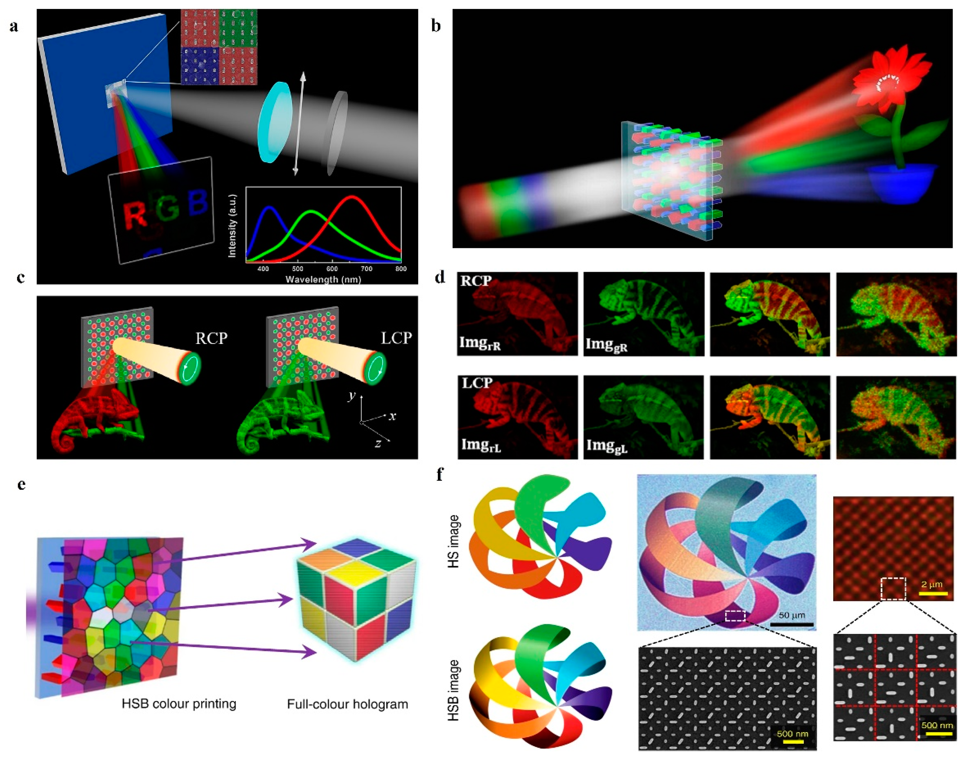 Nanomaterials 14 00066 g005