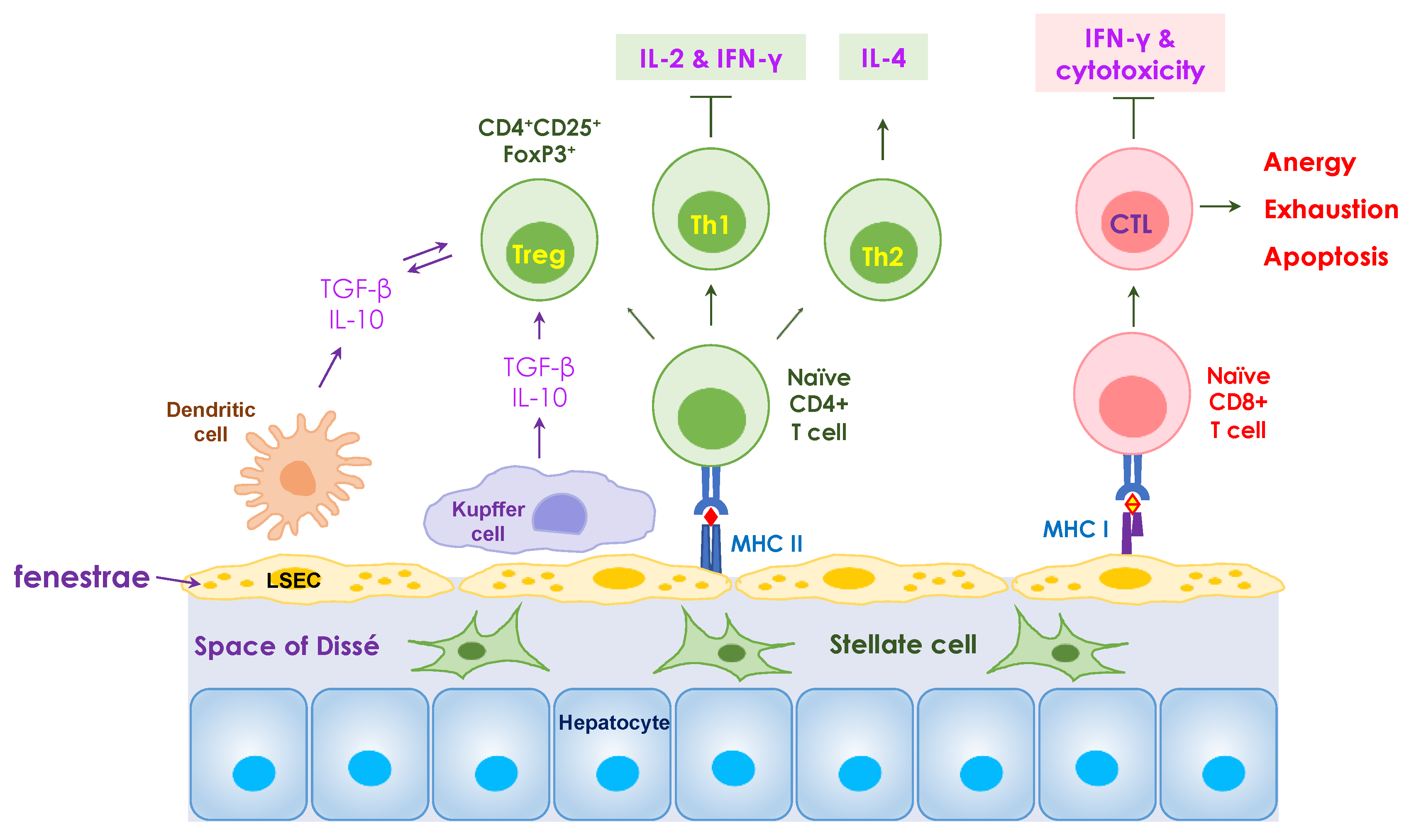 Nanomaterials 14 00067 g001