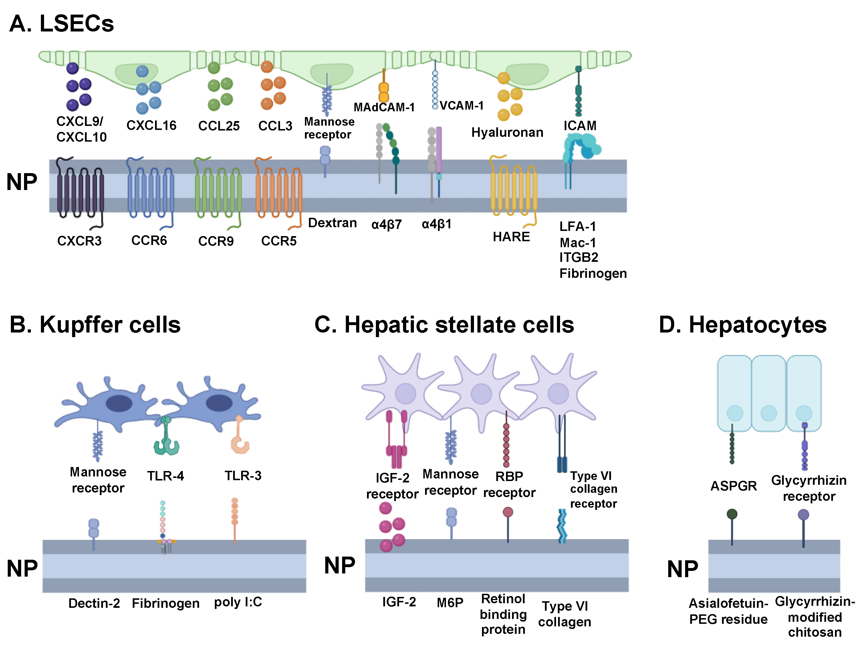 Nanomaterials 14 00067 g004