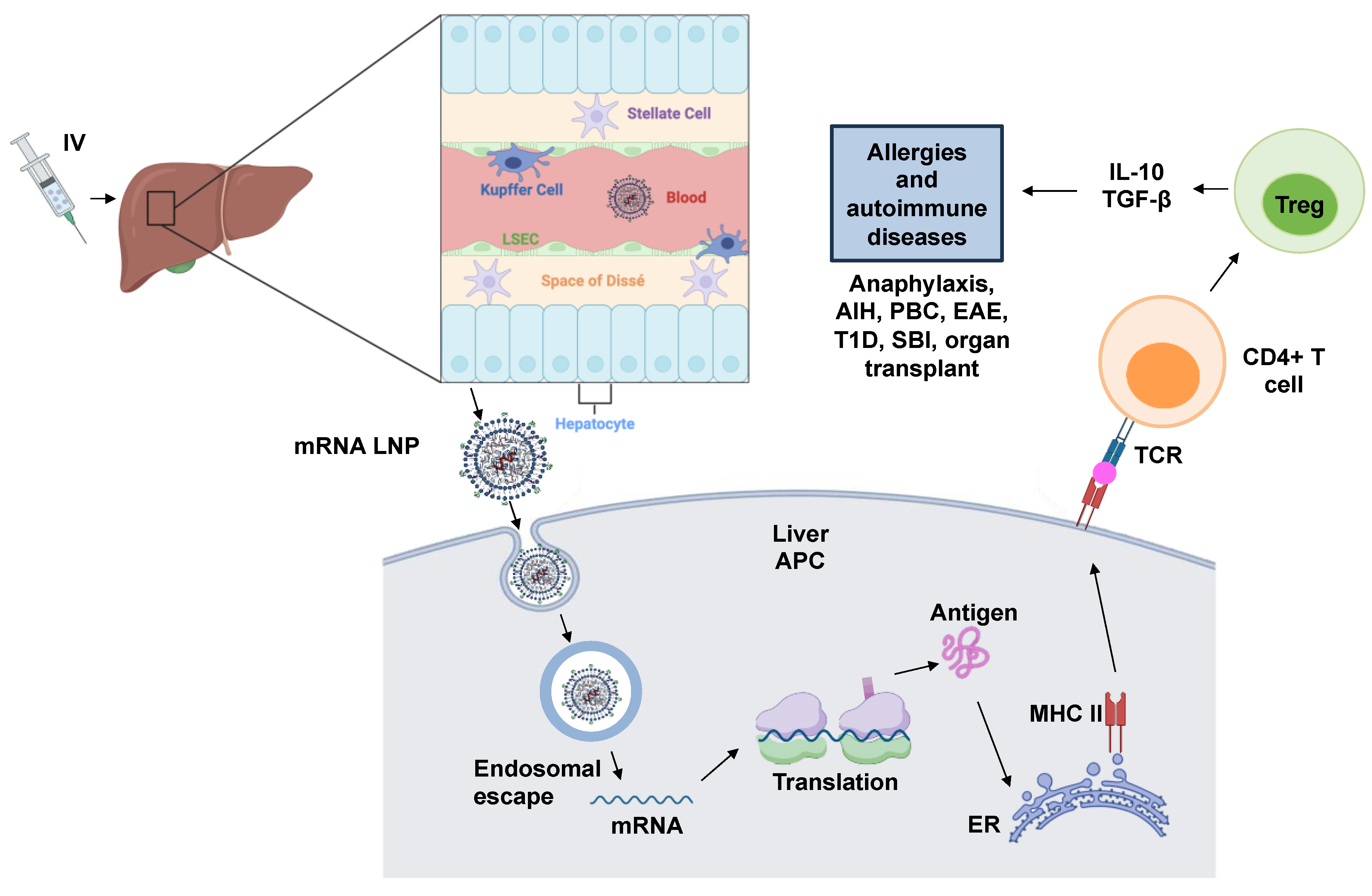 Nanomaterials 14 00067 g005