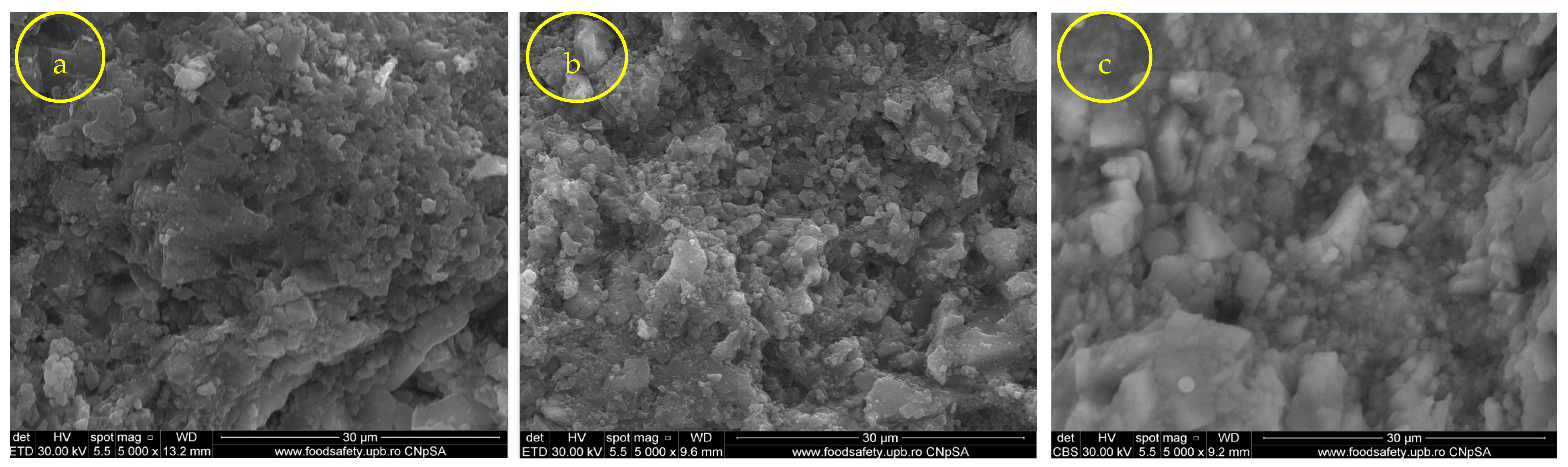 Nanomaterials 14 00068 g008