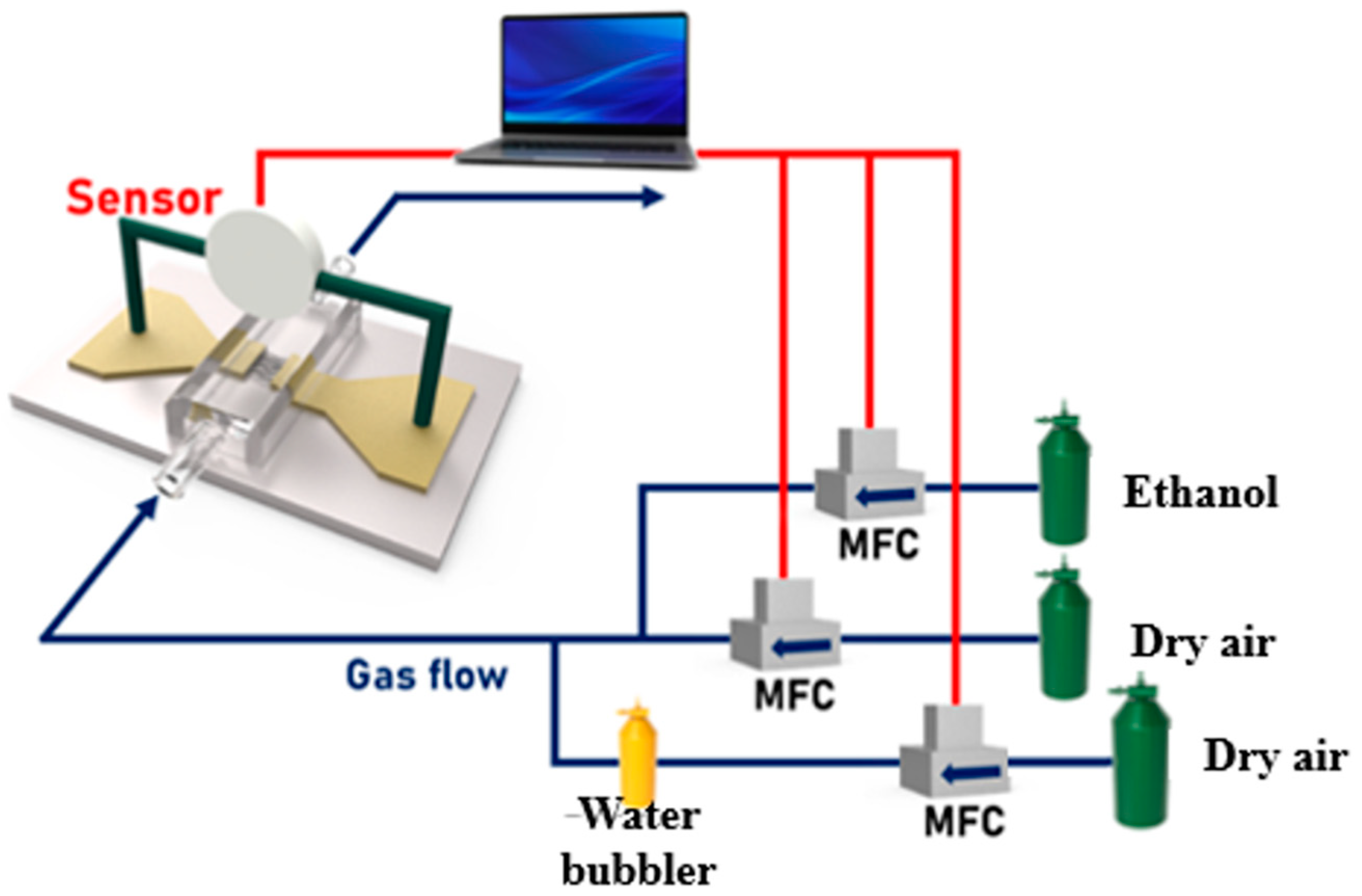 Nanomaterials 14 00070 g002