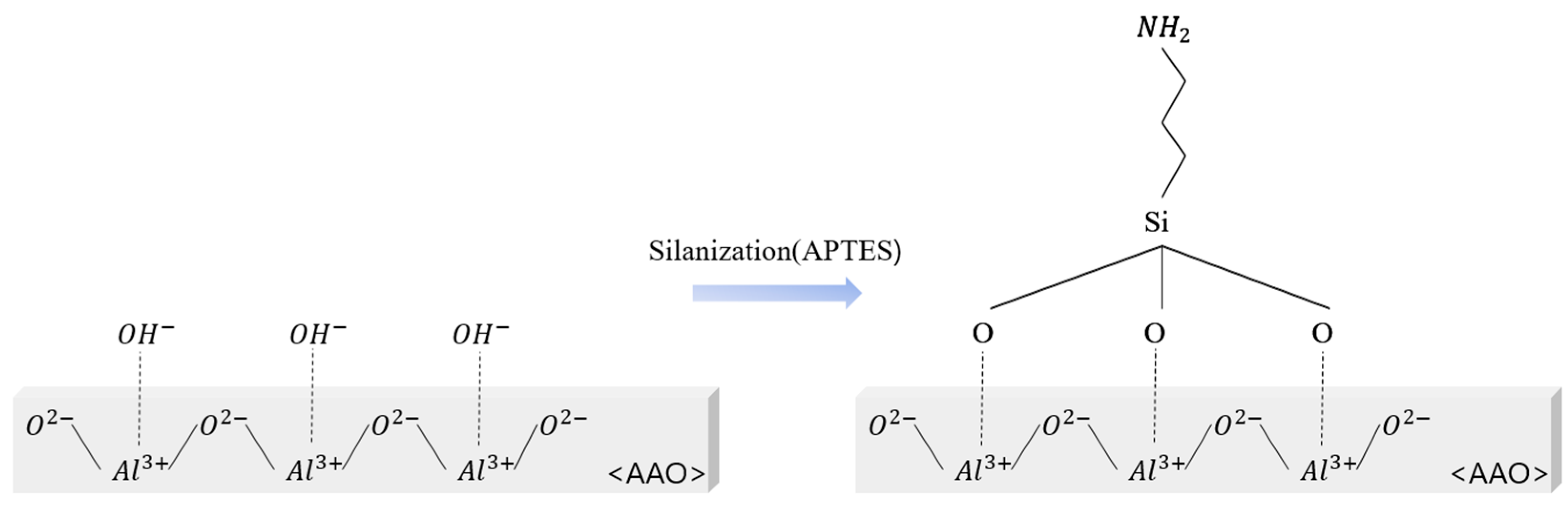 Nanomaterials 14 00070 g009