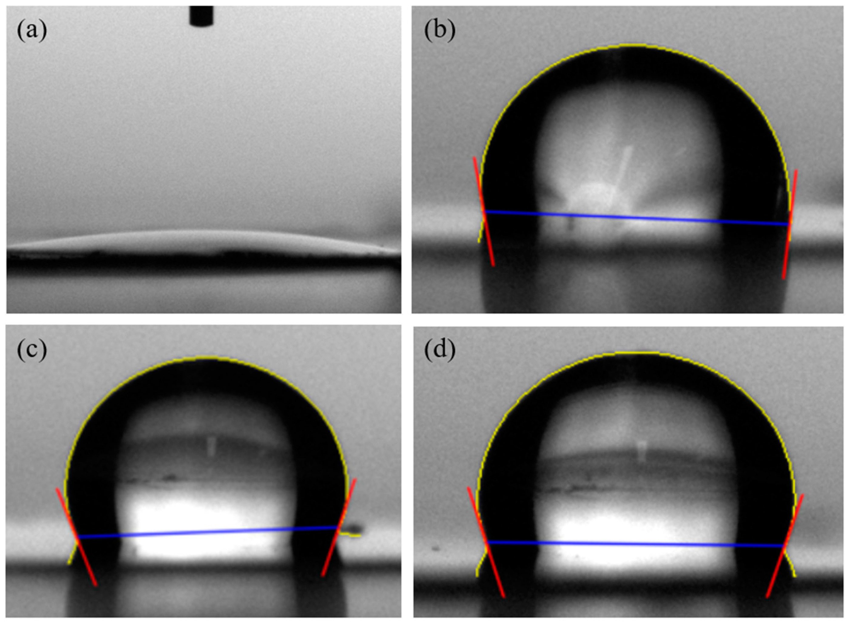 Nanomaterials 14 00070 g010