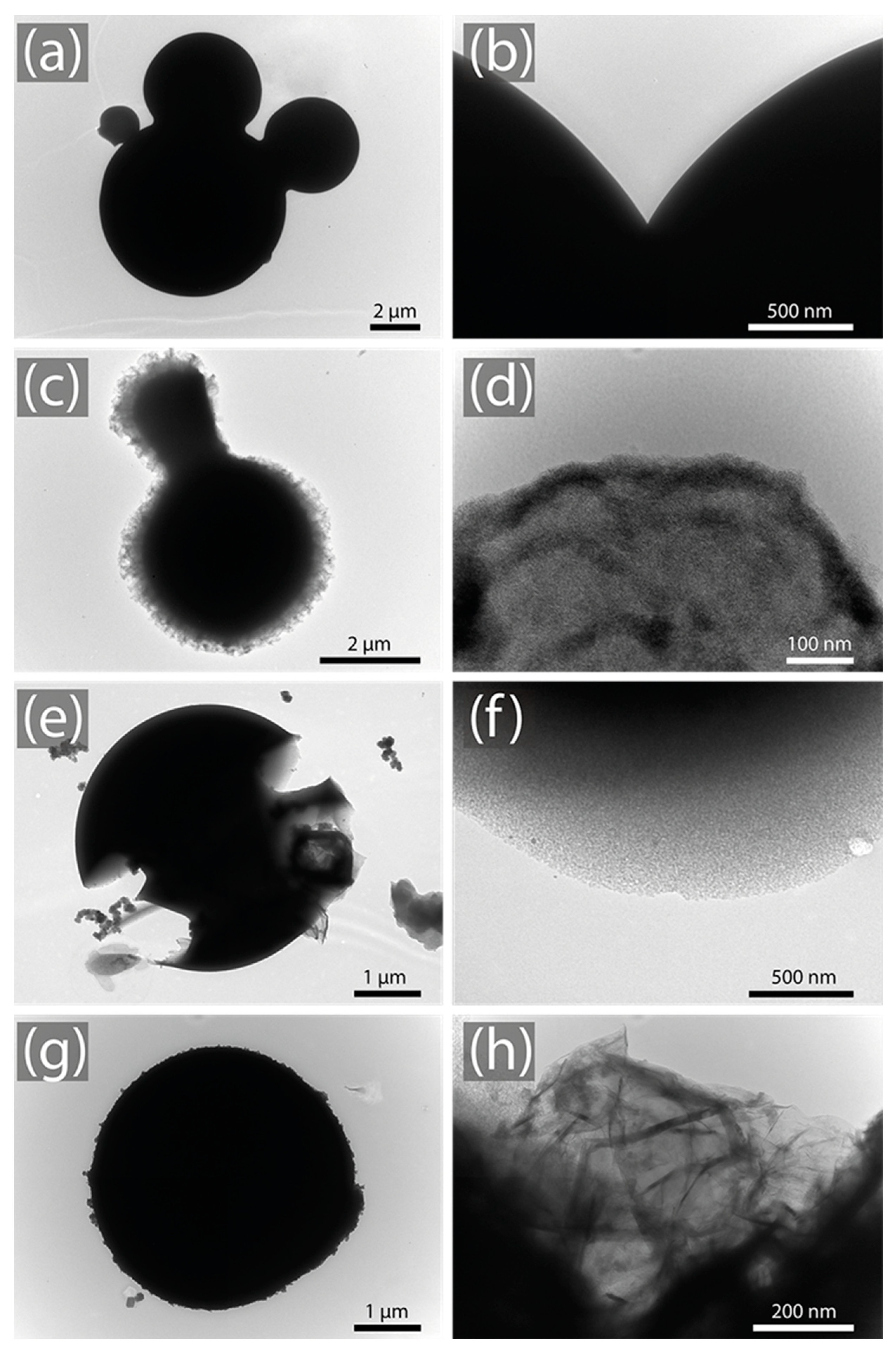 Nanomaterials 14 00071 g003