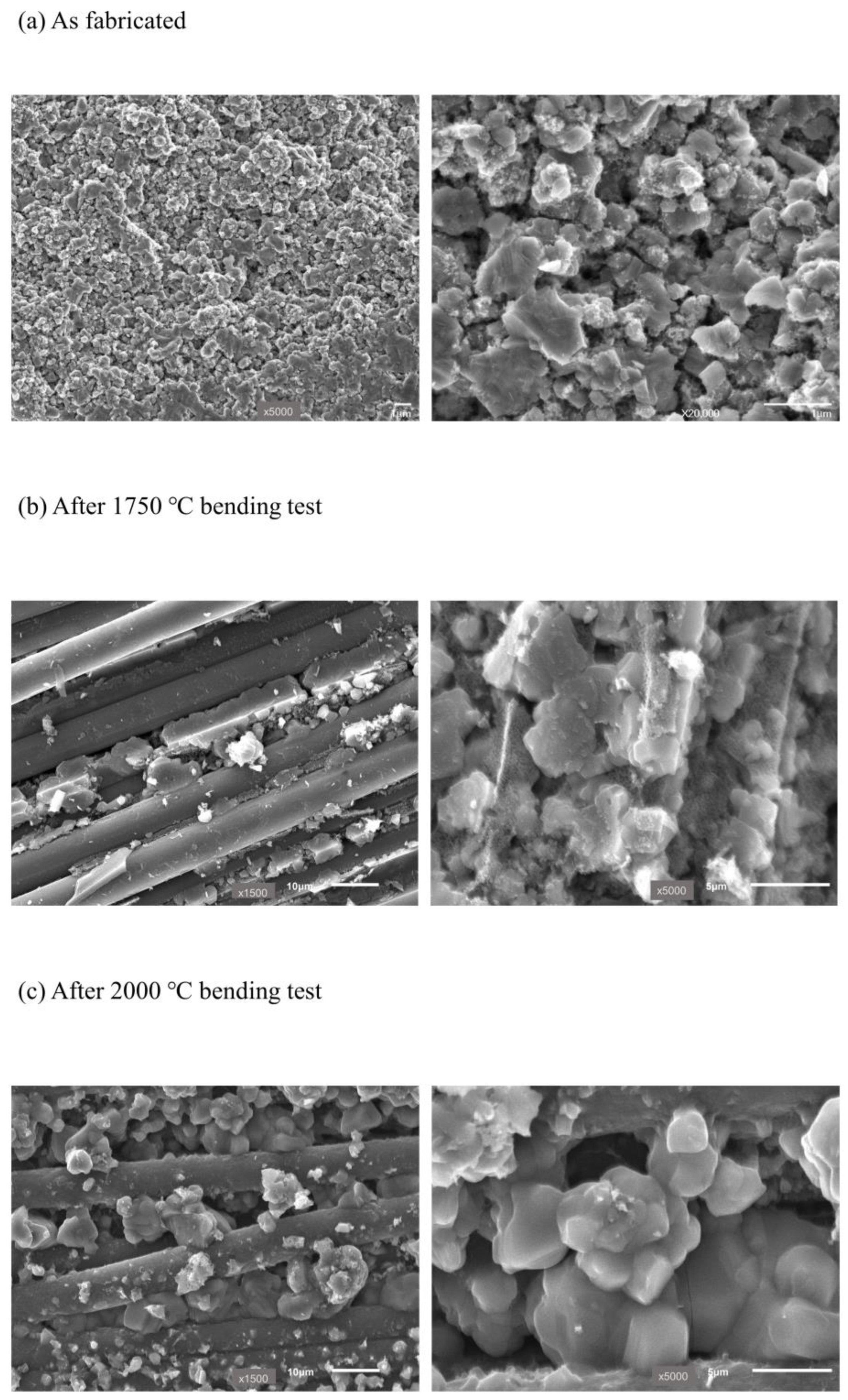 Nanomaterials 14 00072 g006