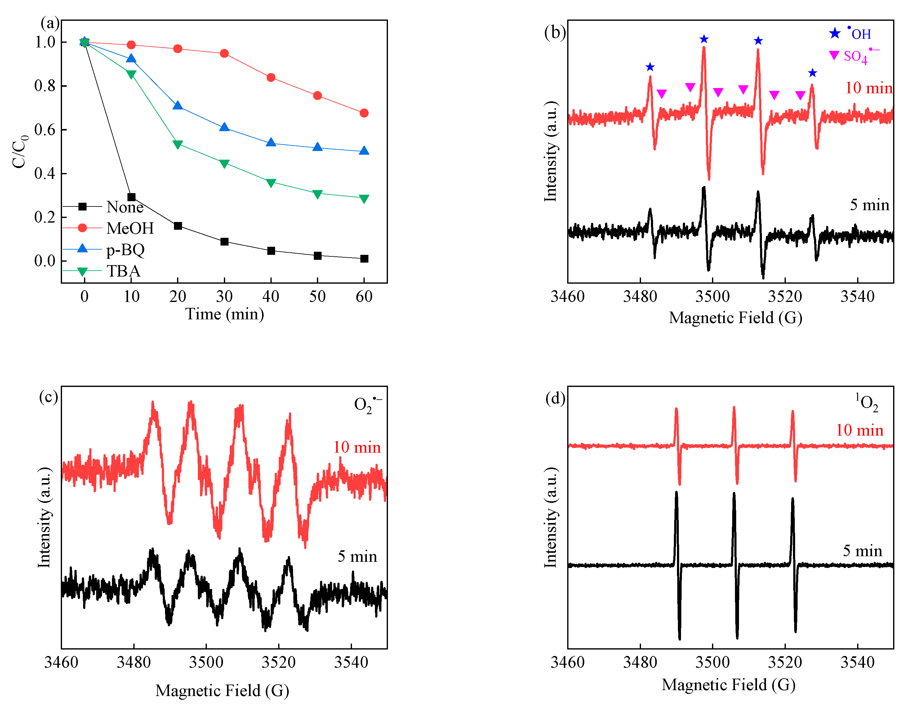 Nanomaterials 14 00074 g008