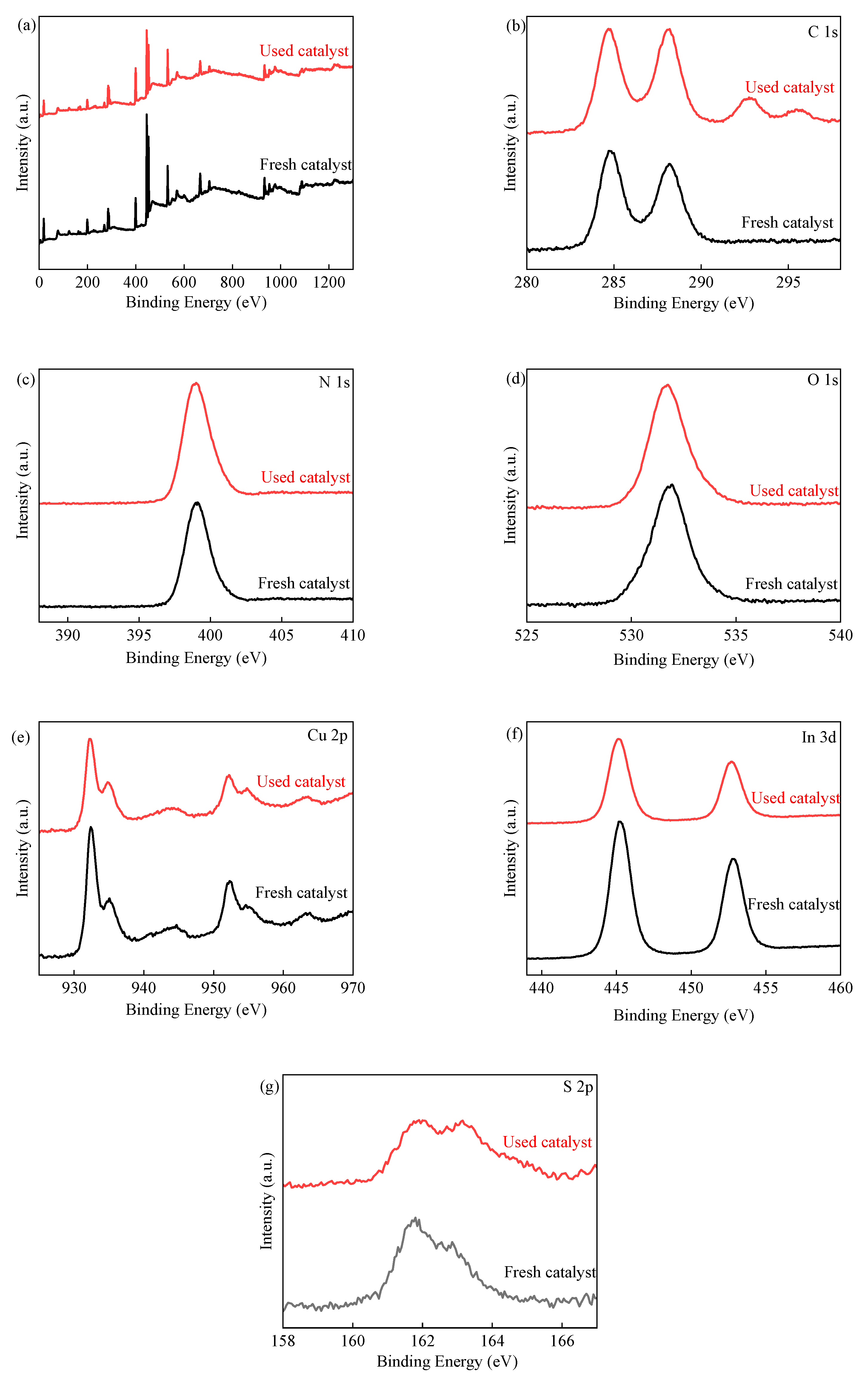 Nanomaterials 14 00074 g009