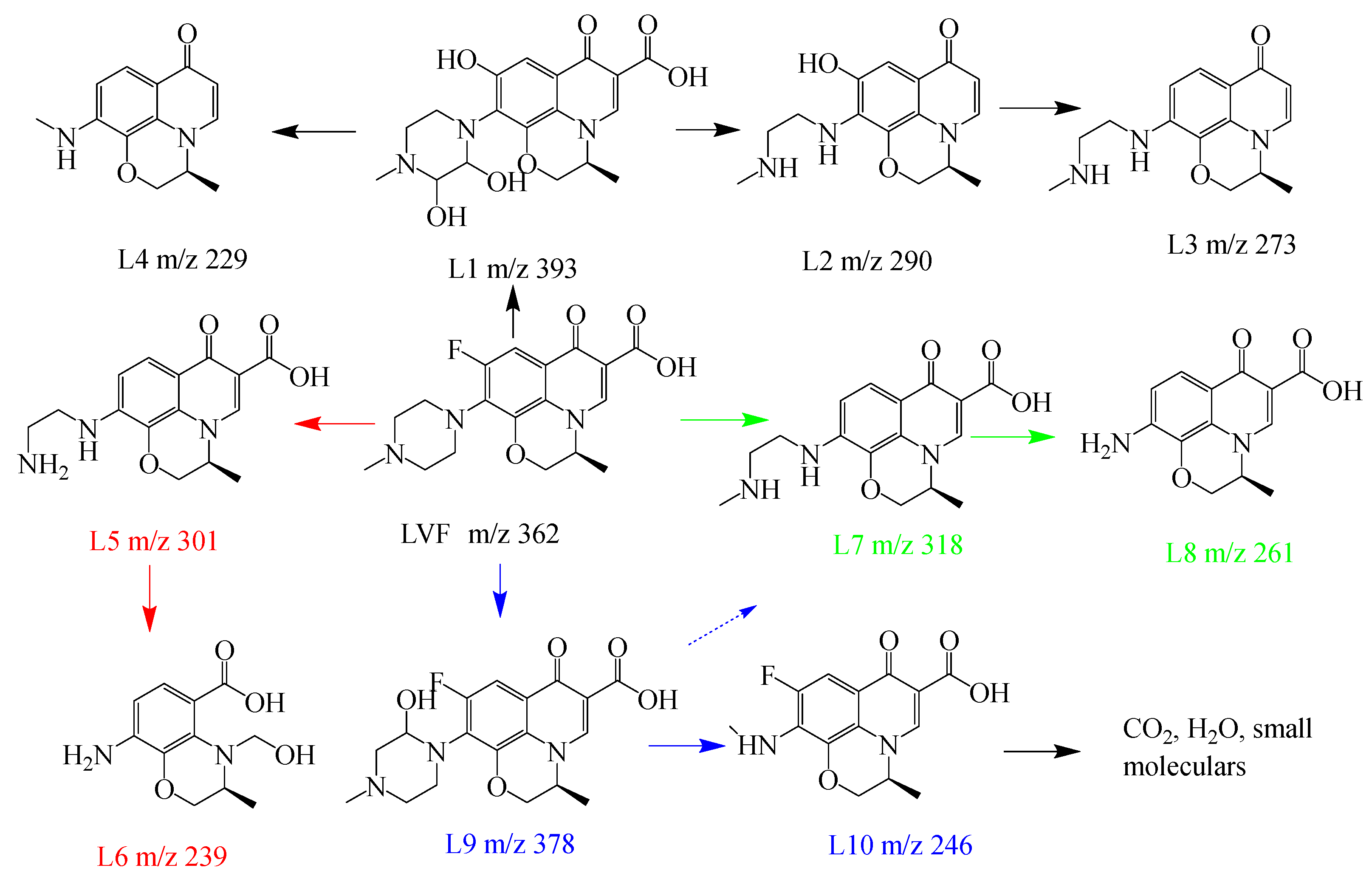Nanomaterials 14 00074 g010