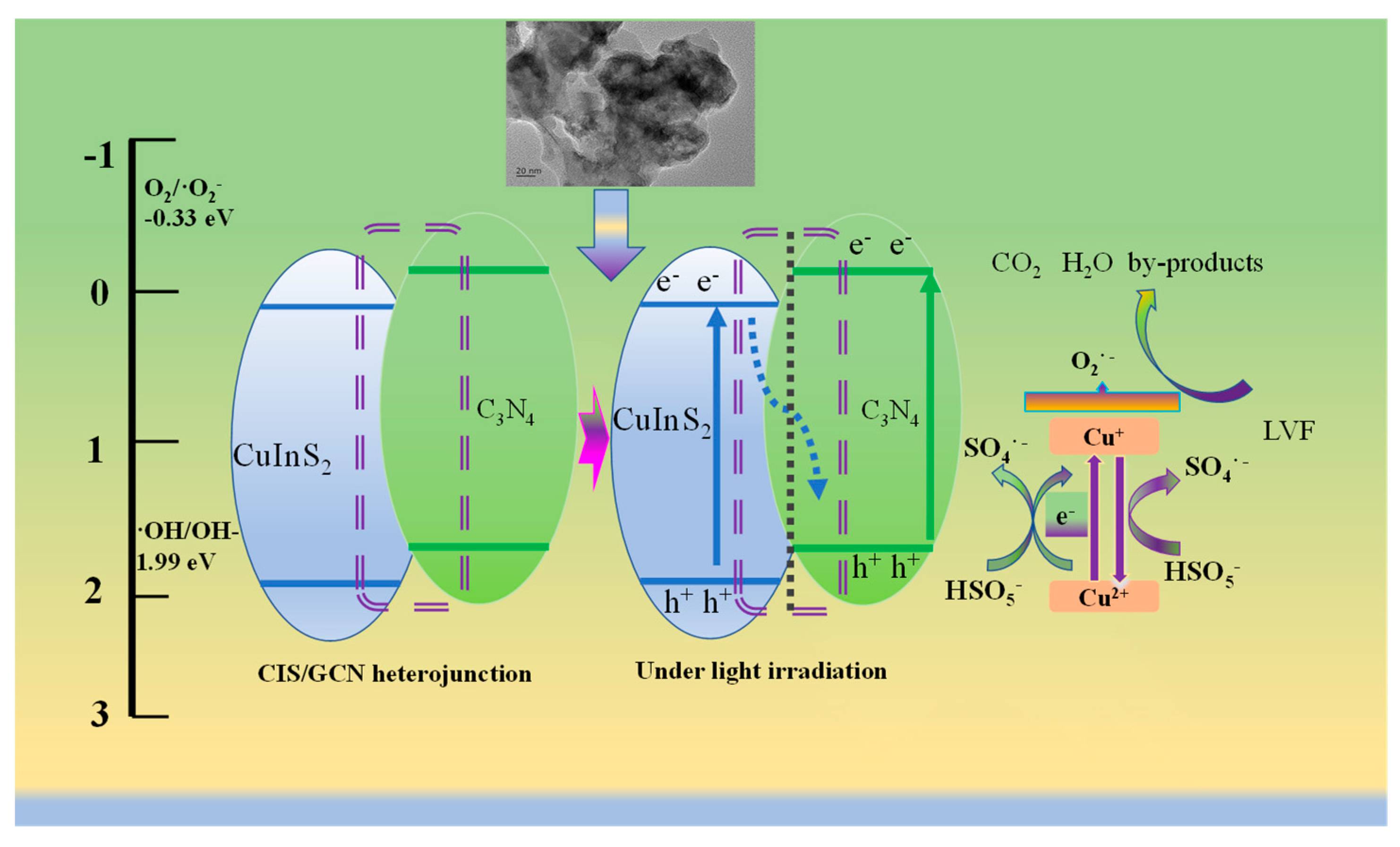 Nanomaterials 14 00074 sch001