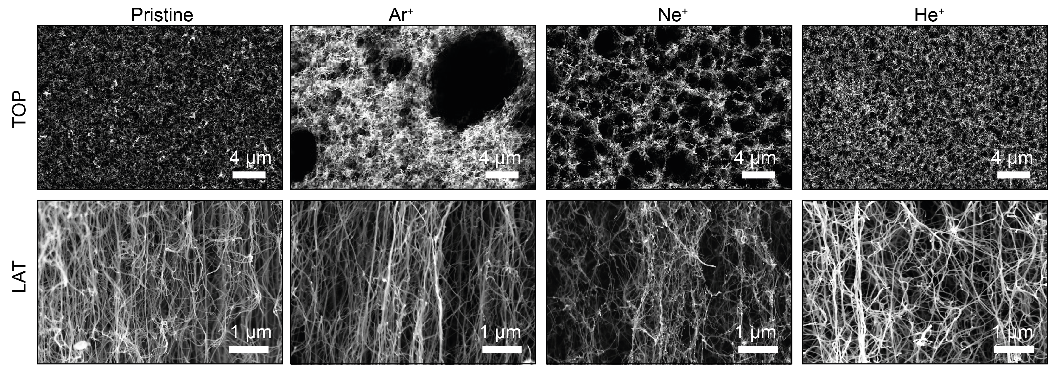 Nanomaterials 14 00077 g001