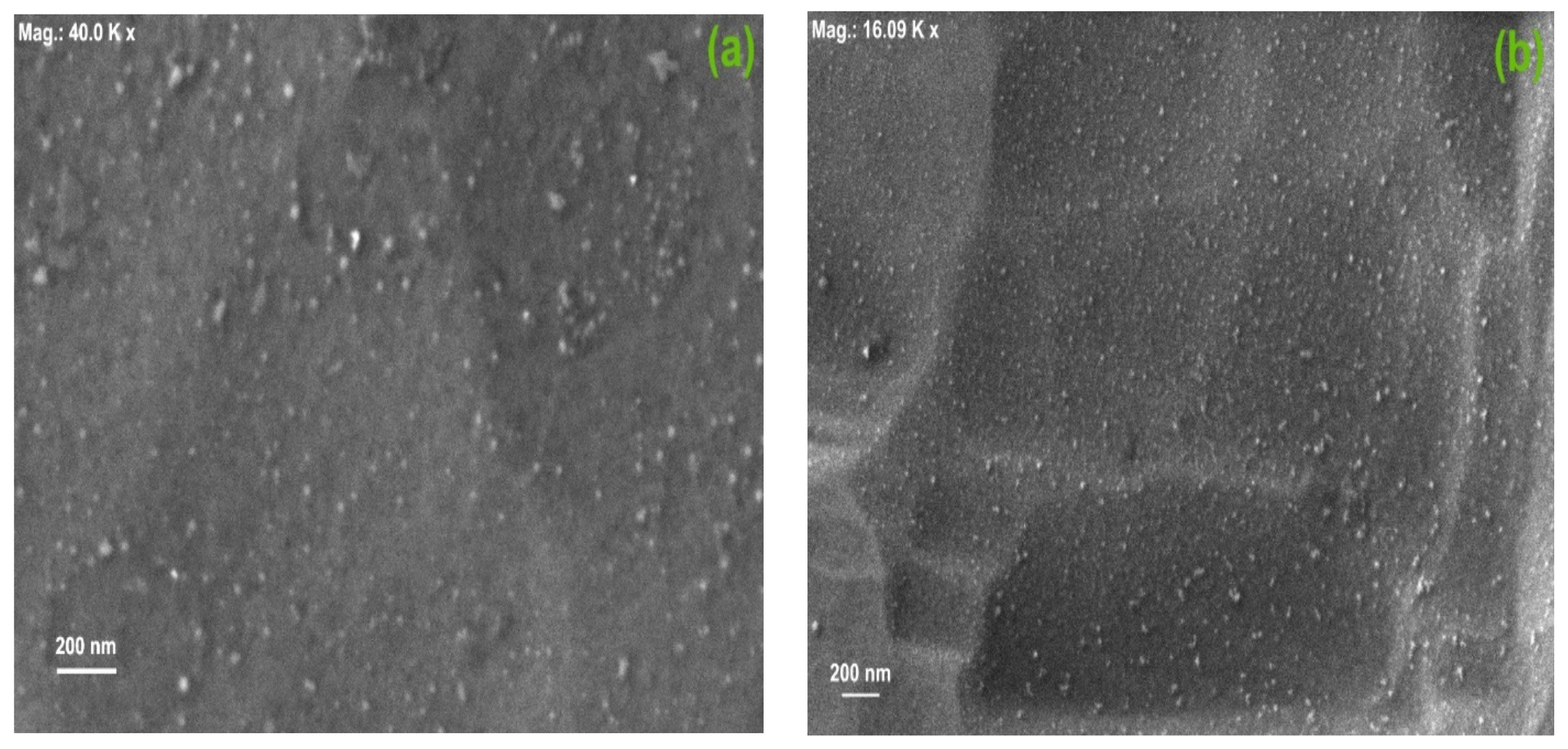 Nanomaterials 14 00083 g004