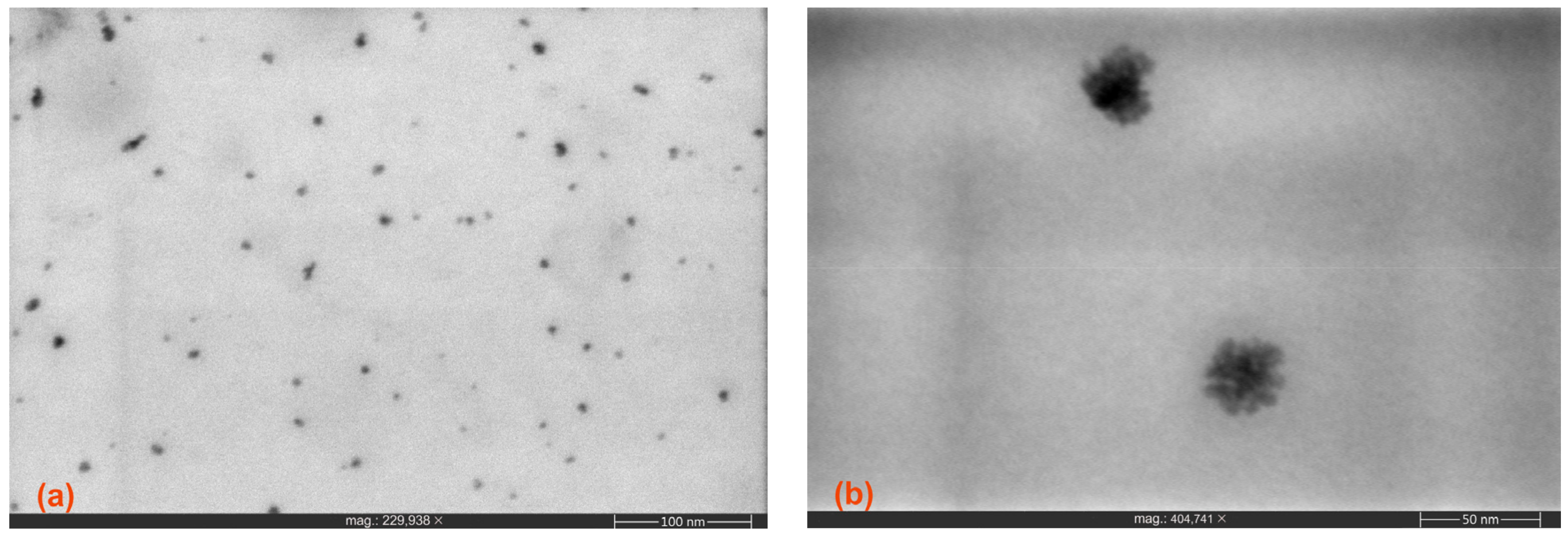 Nanomaterials 14 00083 g005