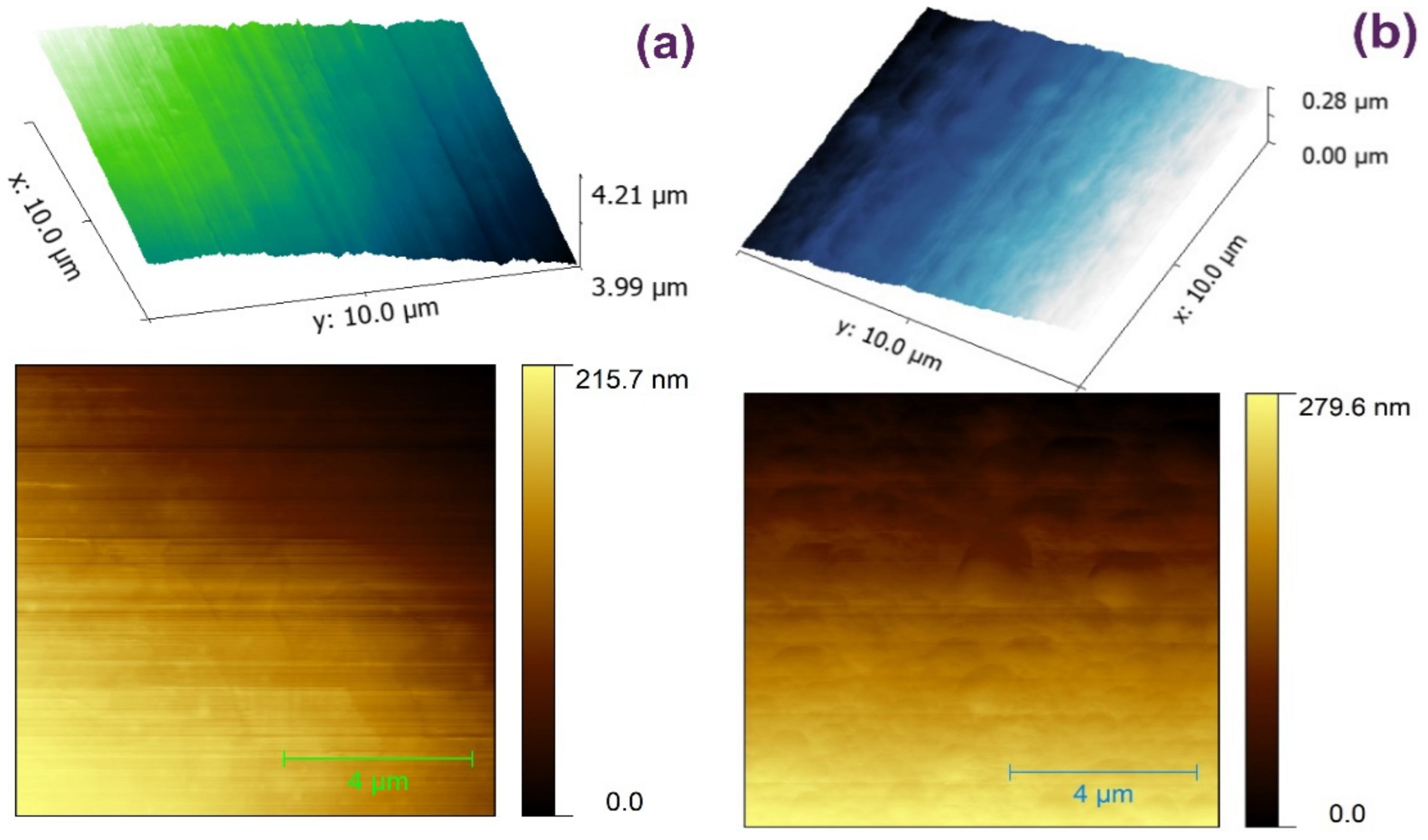 Nanomaterials 14 00083 g006