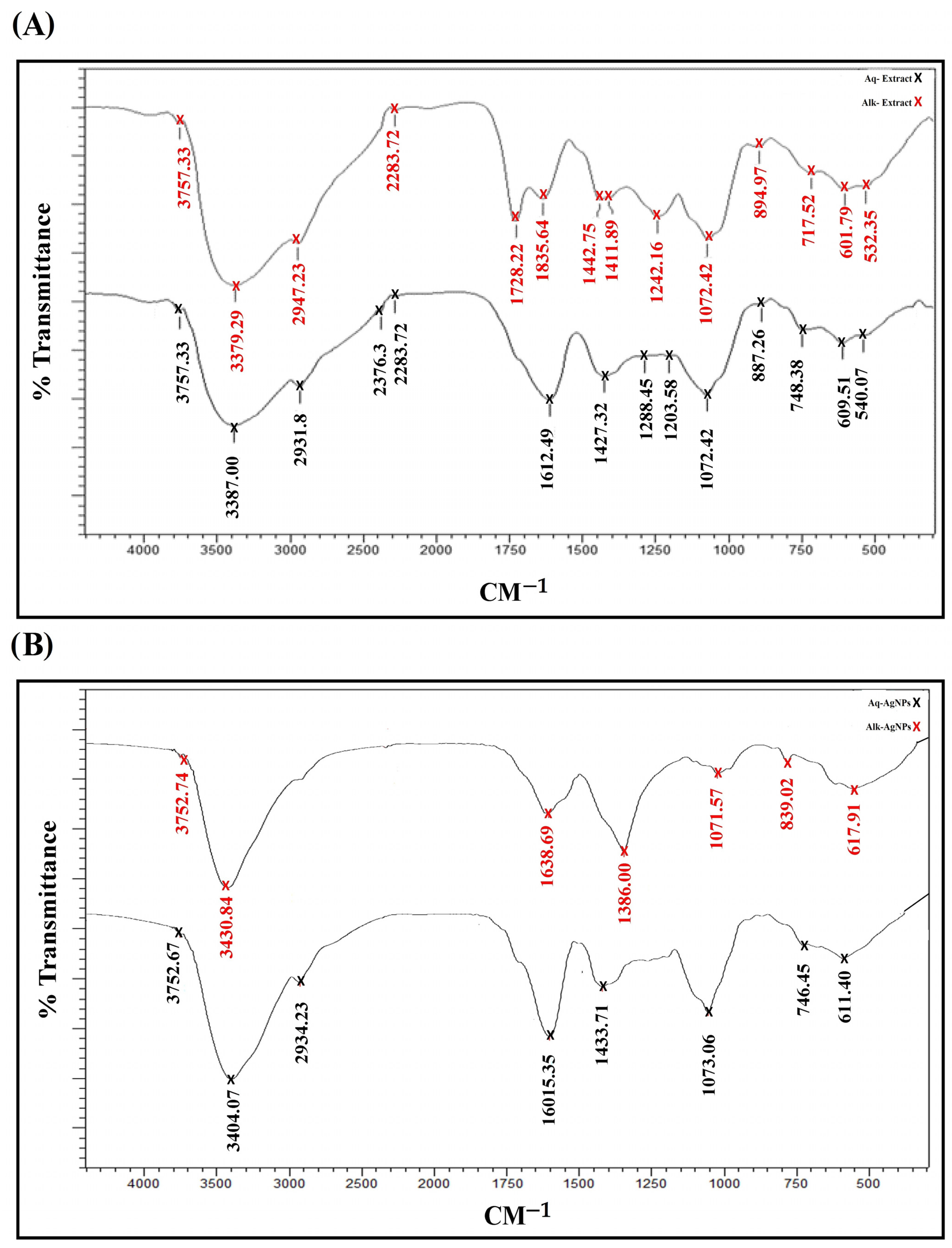 Nanomaterials 14 00088 g001