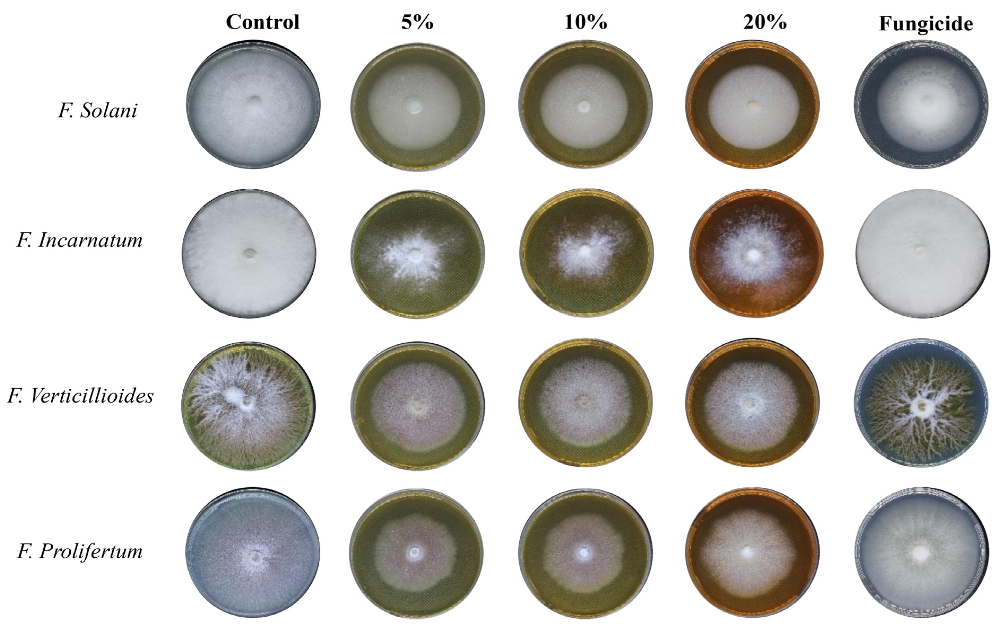 Nanomaterials 14 00088 g005