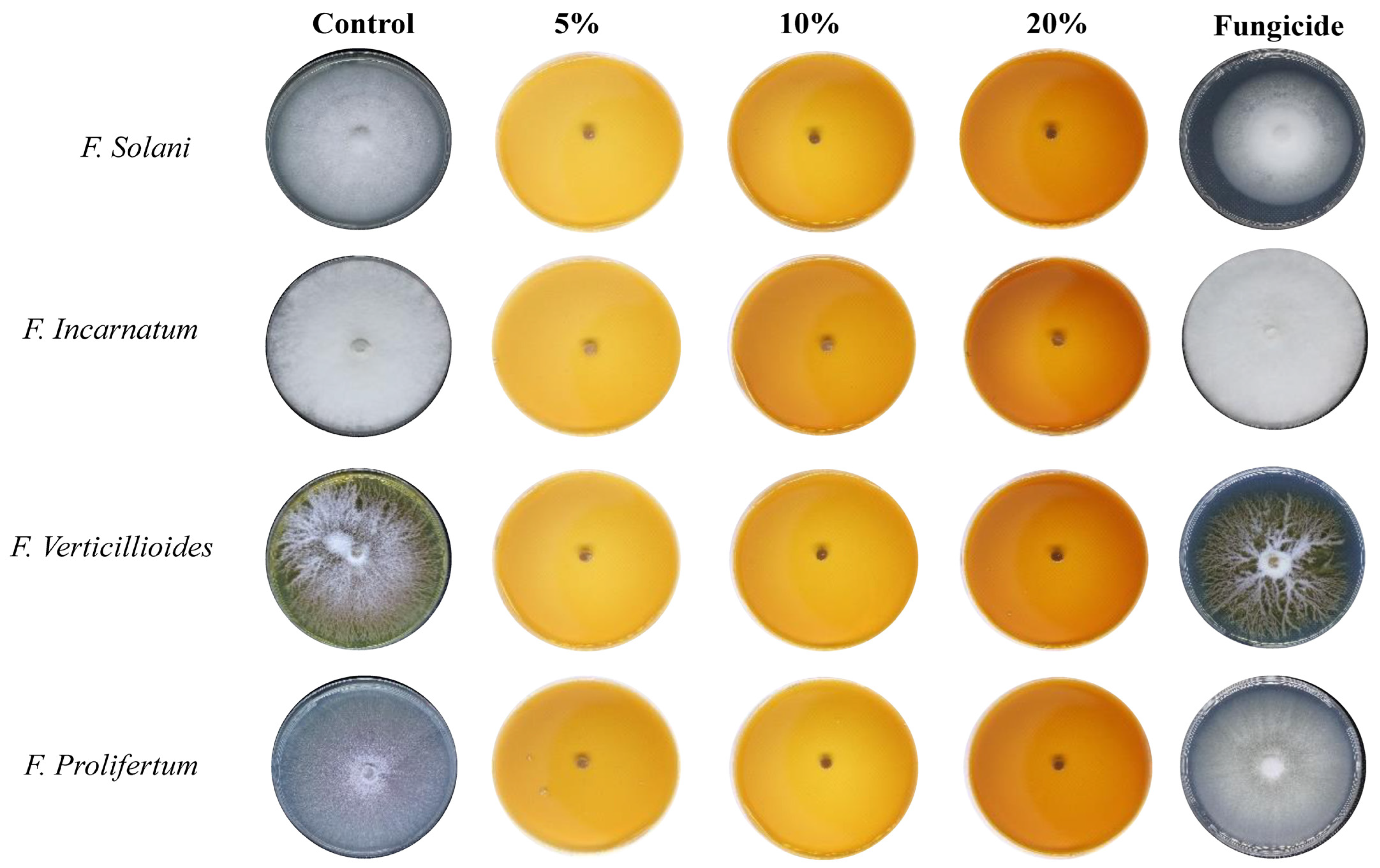 Nanomaterials 14 00088 g006