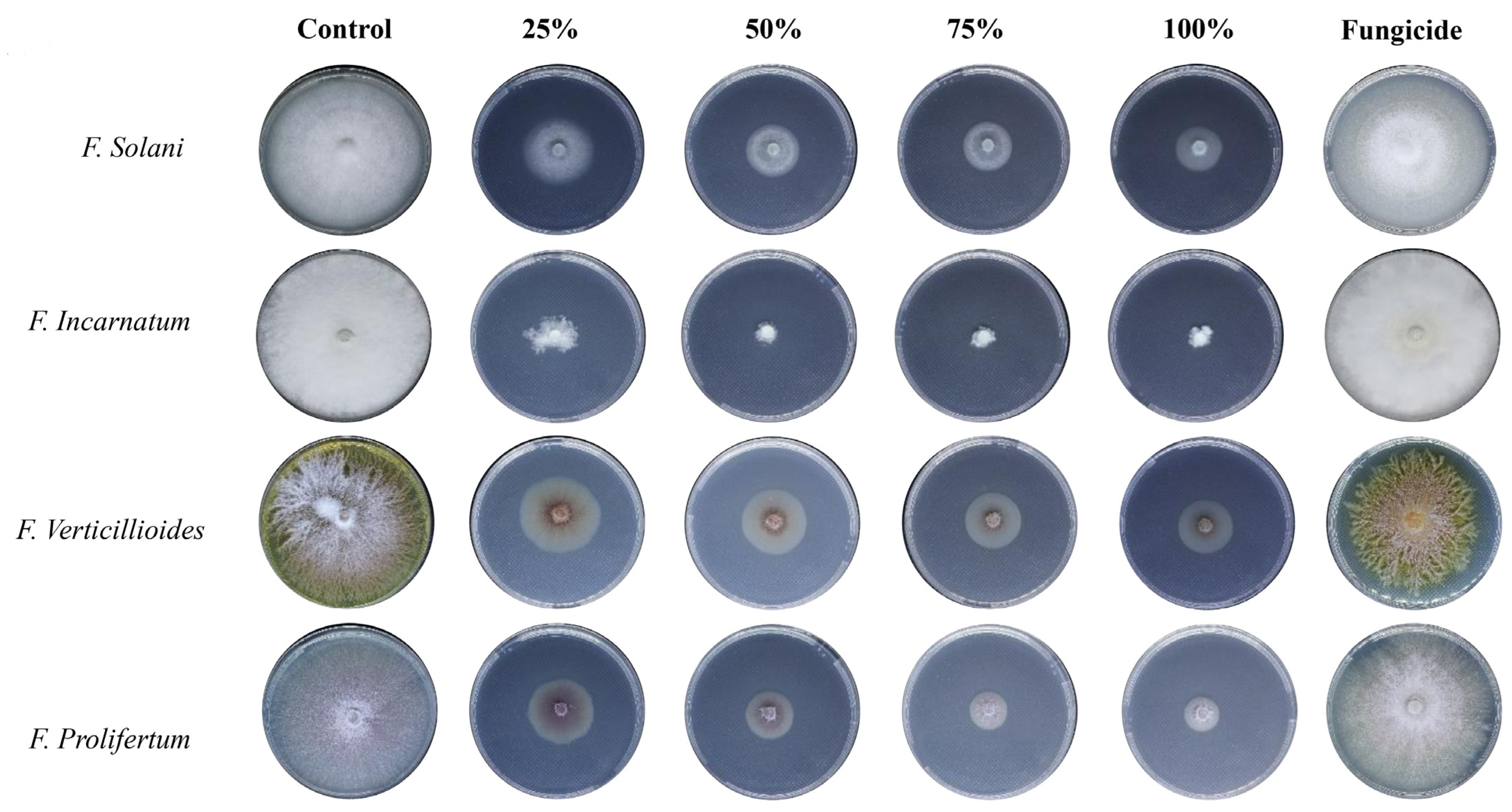 Nanomaterials 14 00088 g007