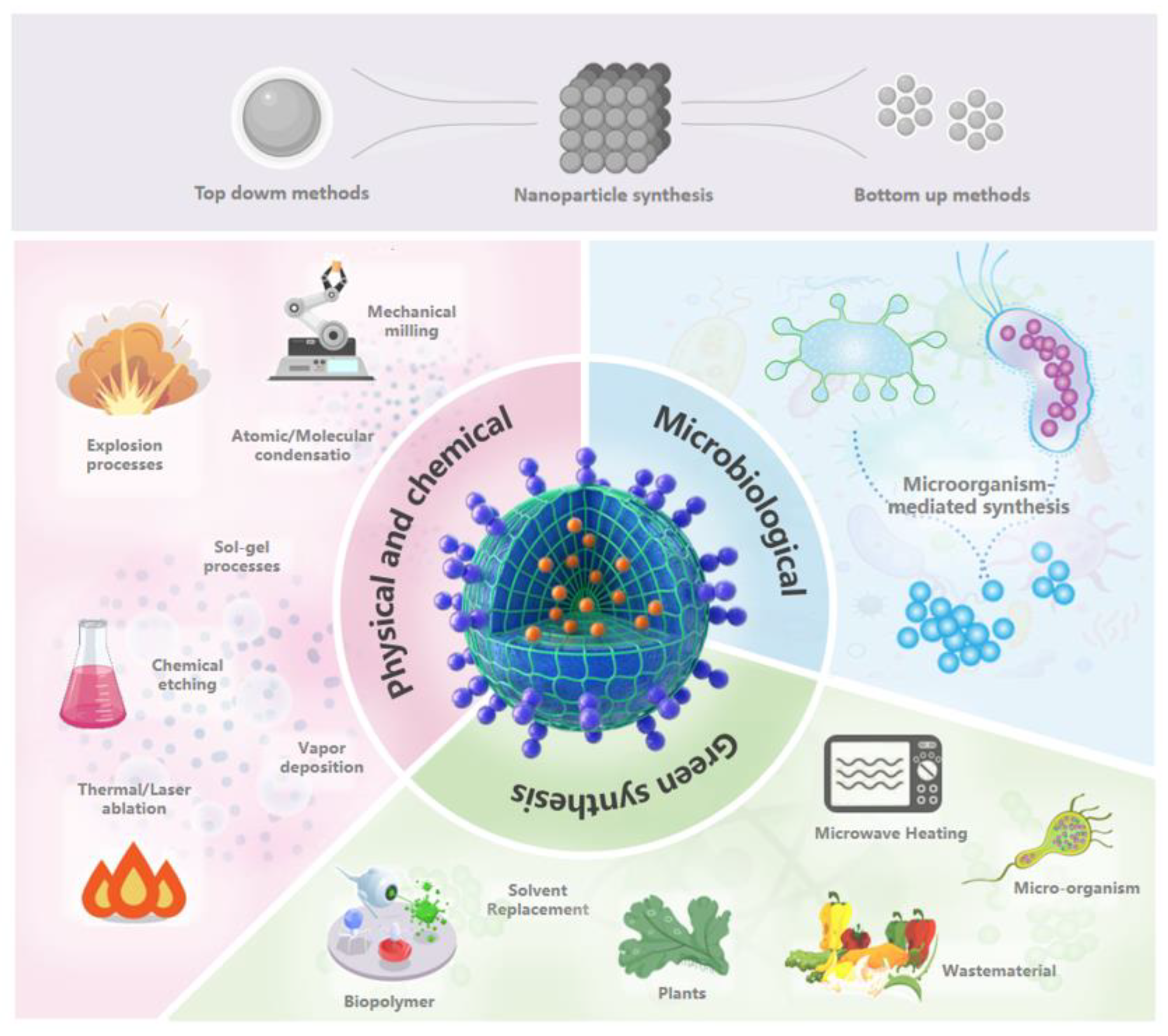 Nanomaterials 14 00090 g003
