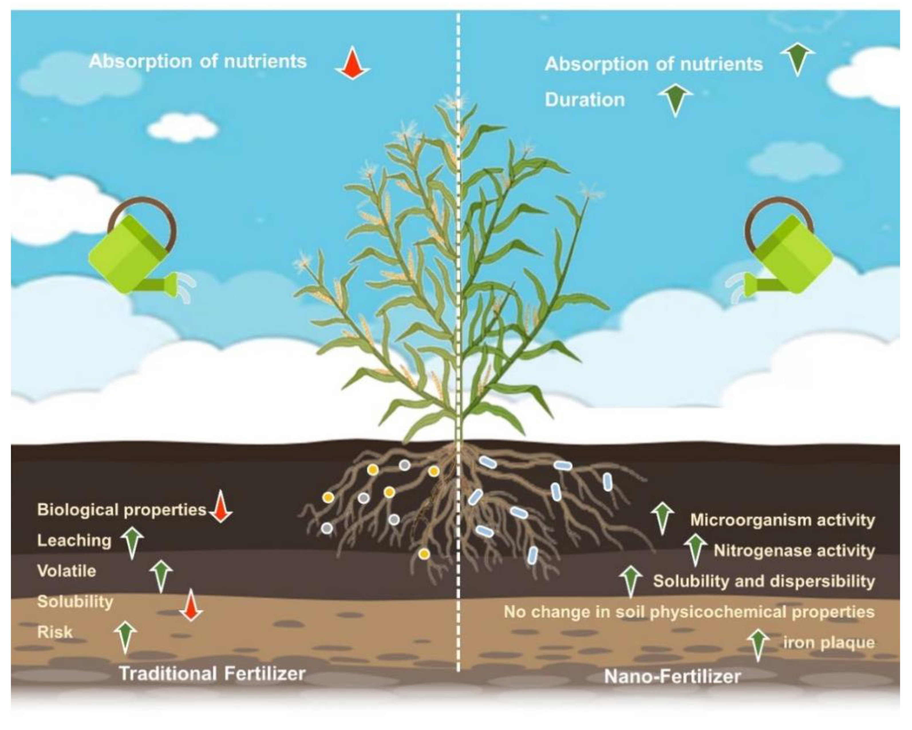 Nanomaterials 14 00090 g005