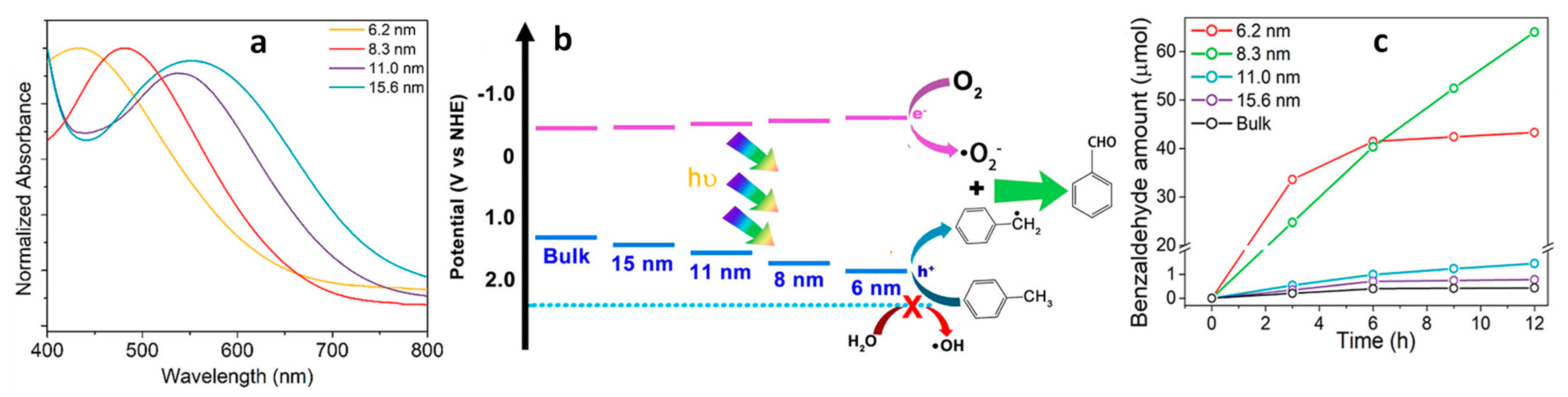 Nanomaterials 14 00094 g003