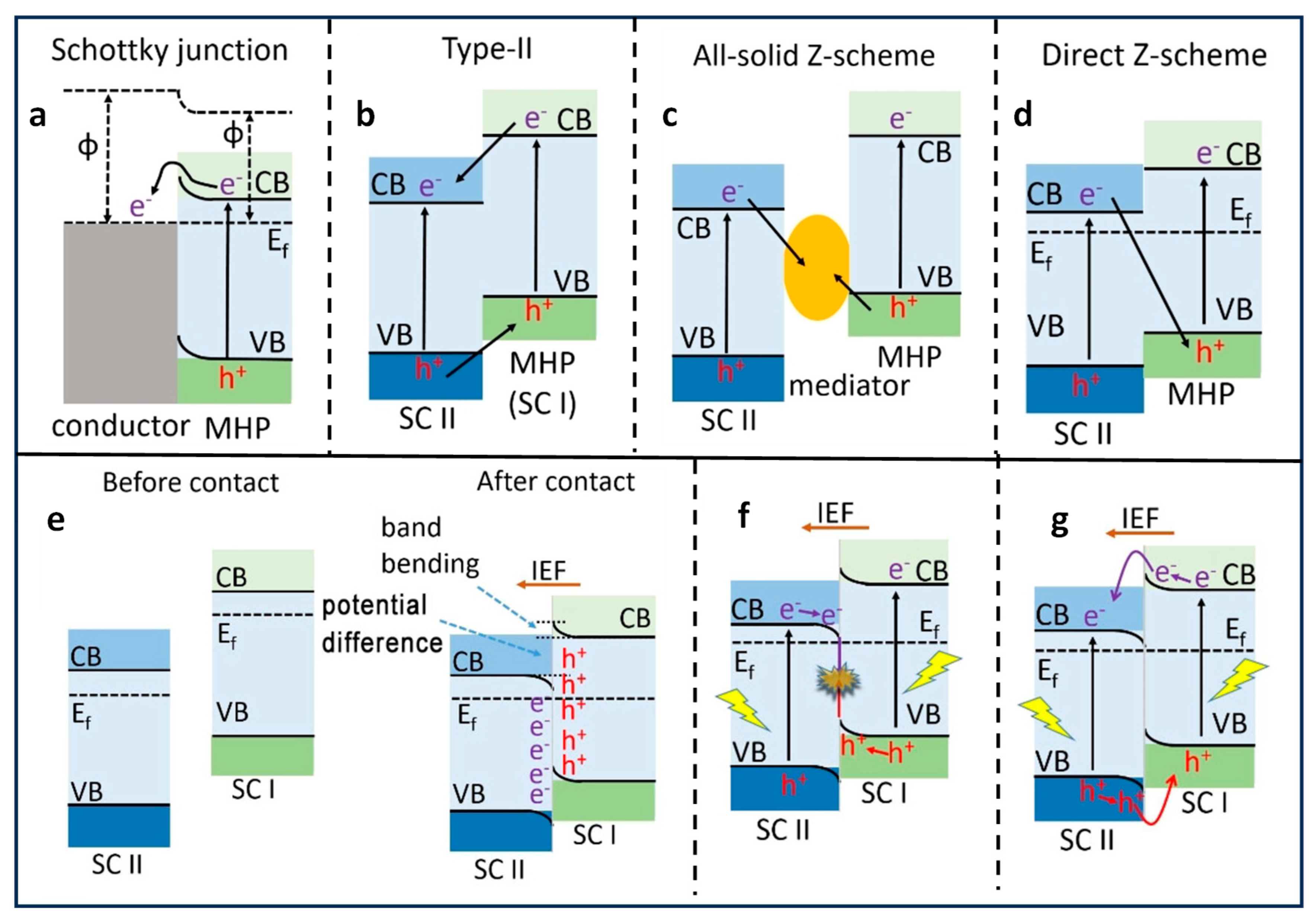 Nanomaterials 14 00094 g006