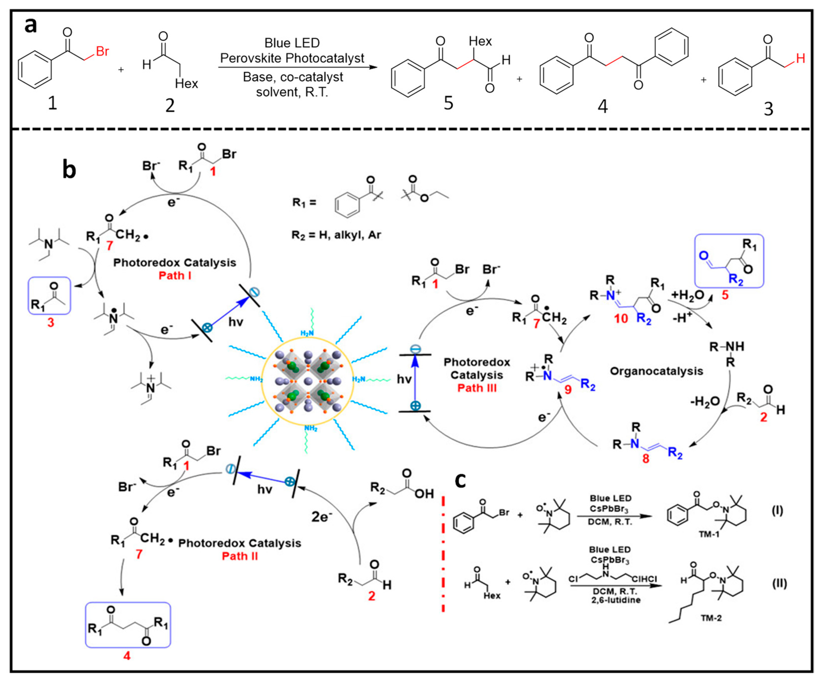 Nanomaterials 14 00094 g007