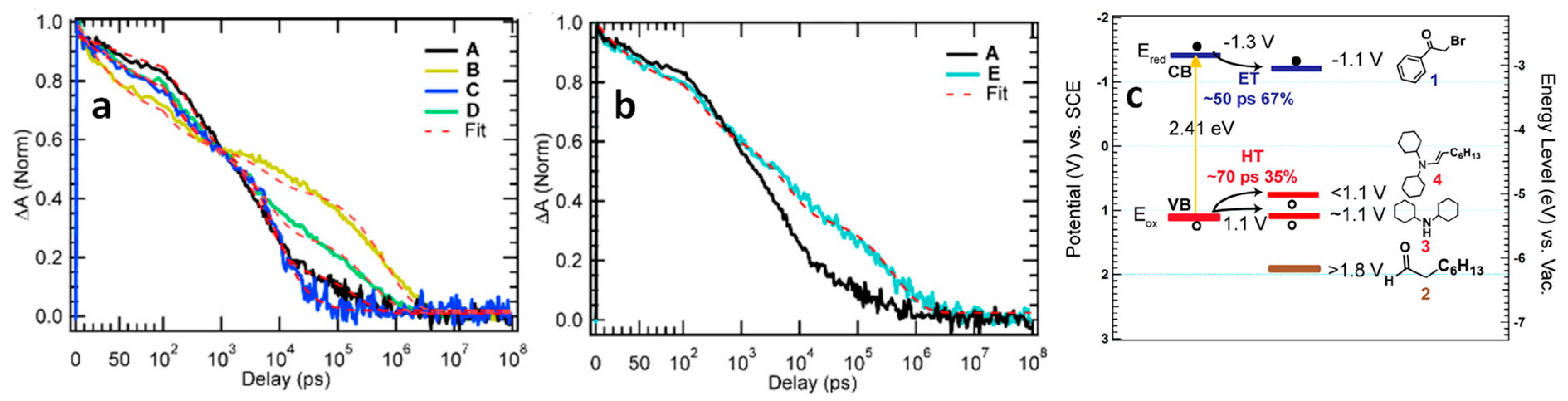 Nanomaterials 14 00094 g008