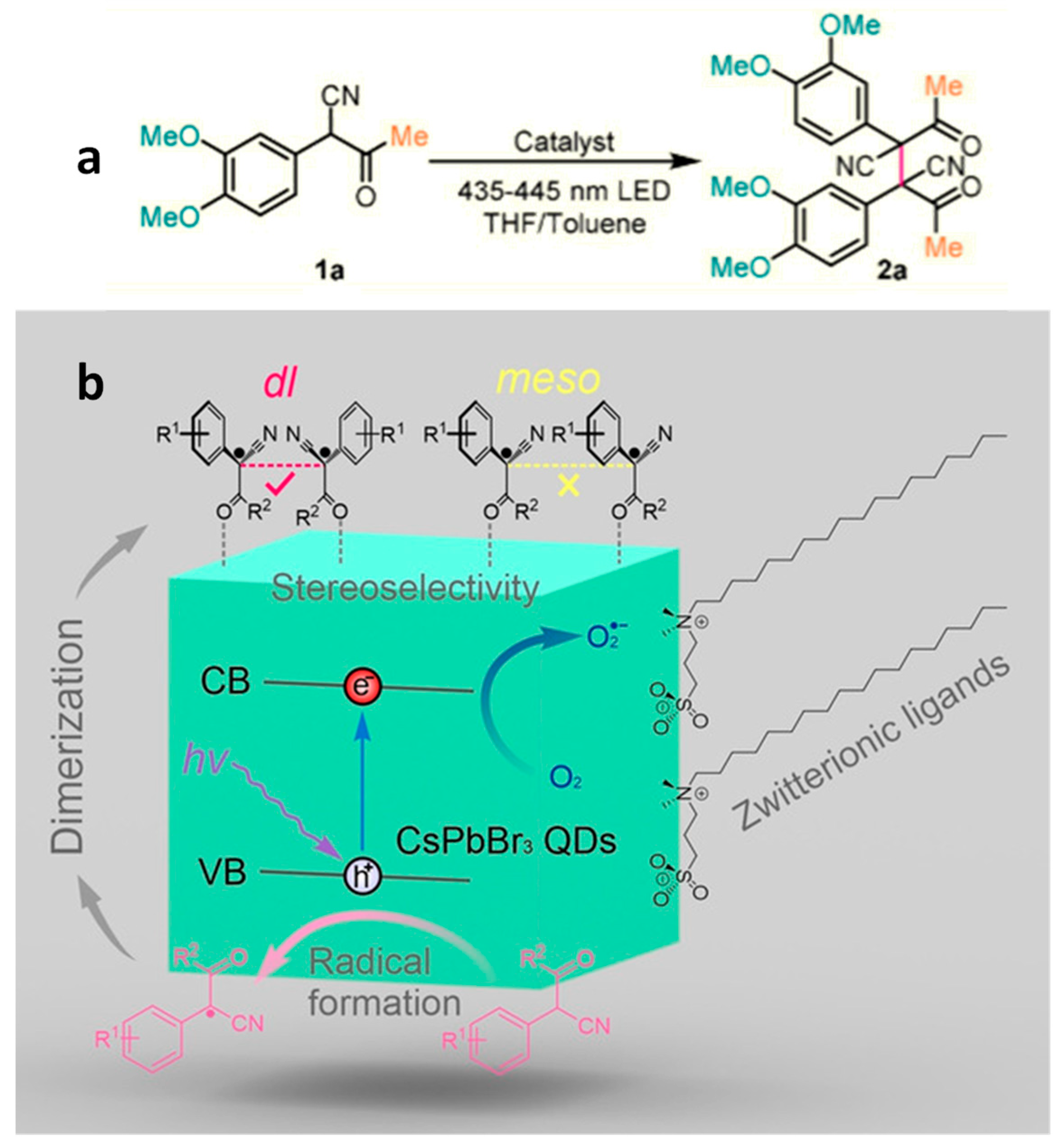 Nanomaterials 14 00094 g010