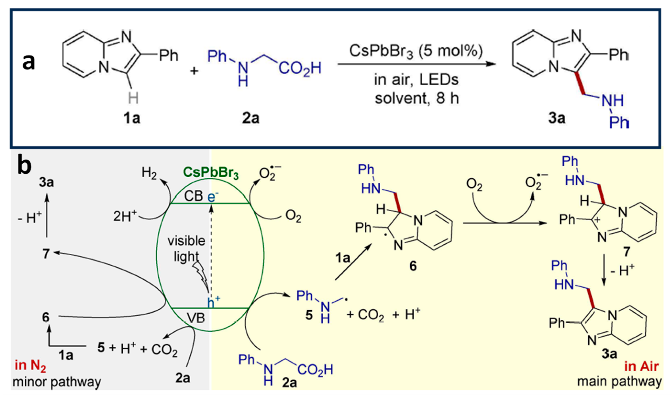 Nanomaterials 14 00094 g012